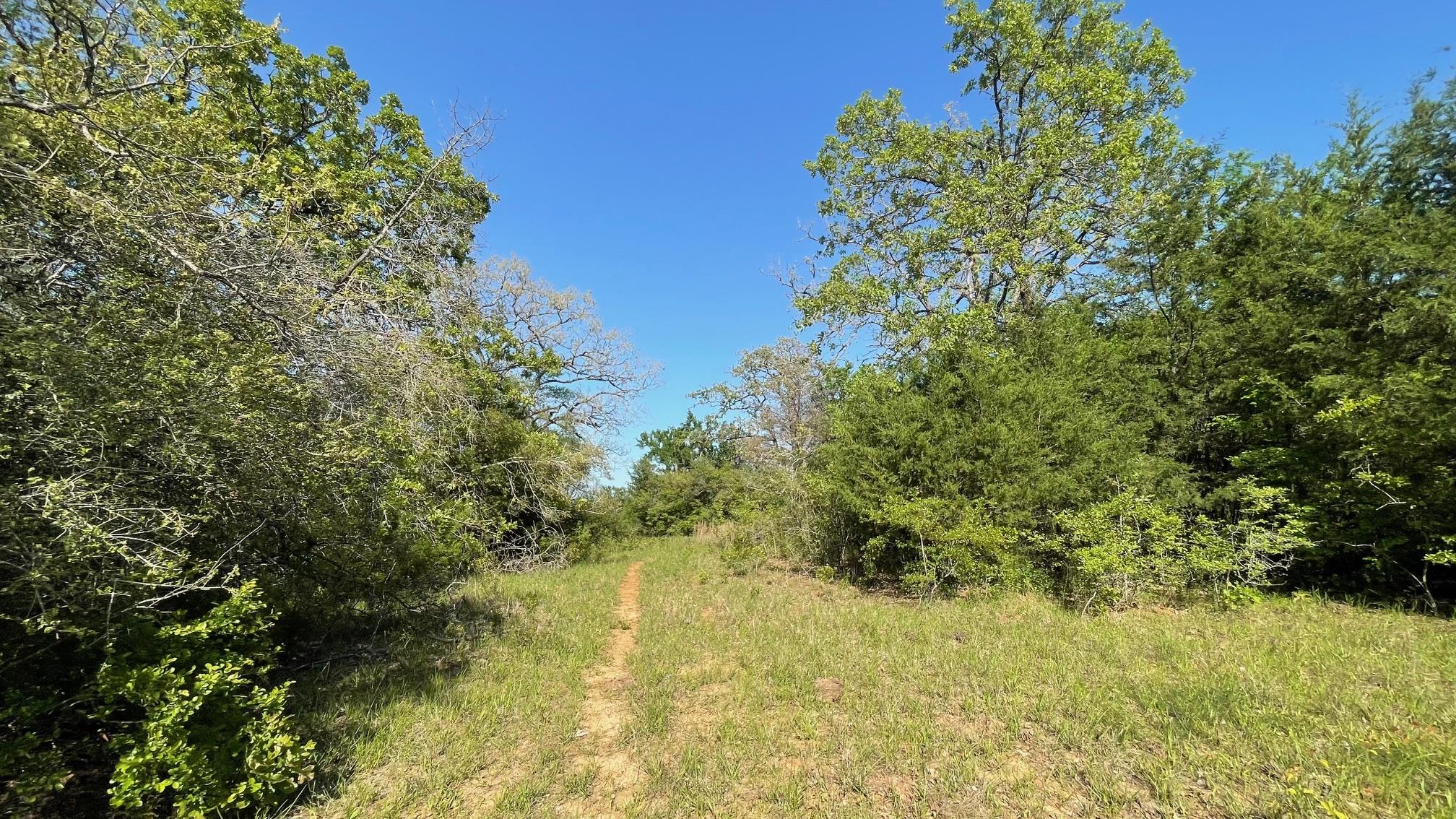 2876 Grant Prairie Rd (+/-75.7 acres), Franklin, TX 77856