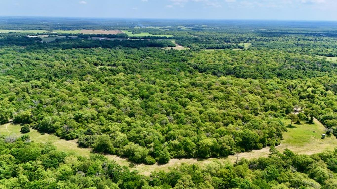 2876 Grant Prairie Rd (+/-75.7 acres), Franklin, TX 77856