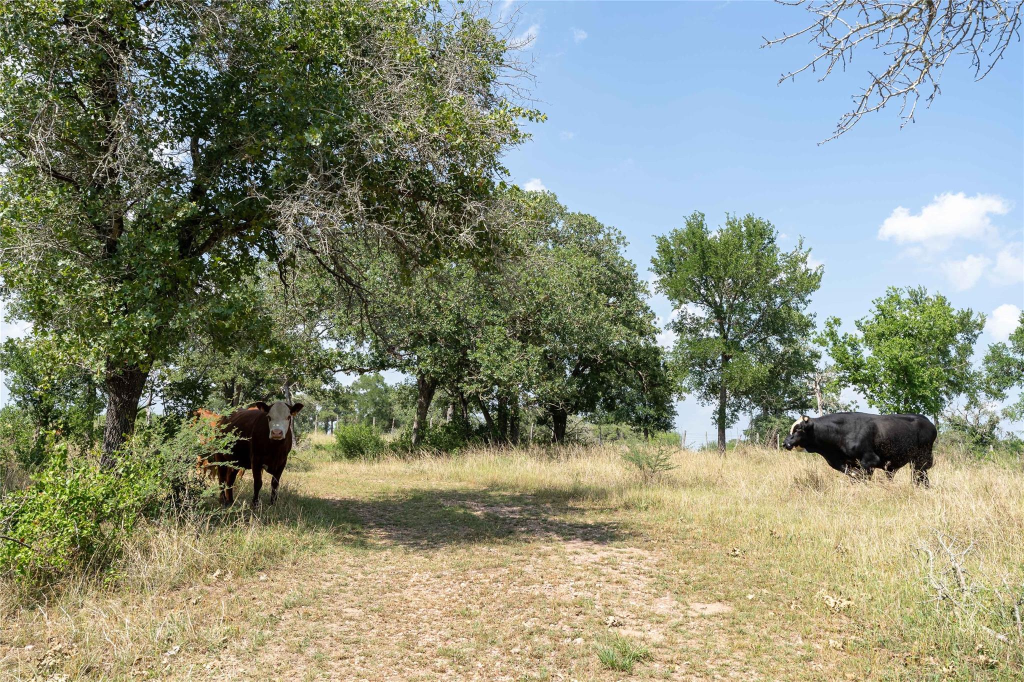 00 Gravel Pit Rd, Seguin, TX 78155