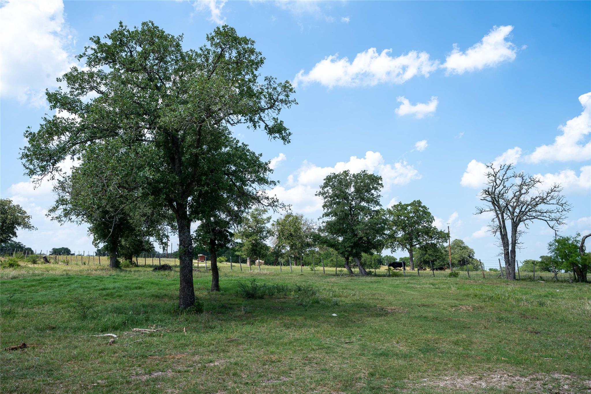 00 Gravel Pit Rd, Seguin, TX 78155