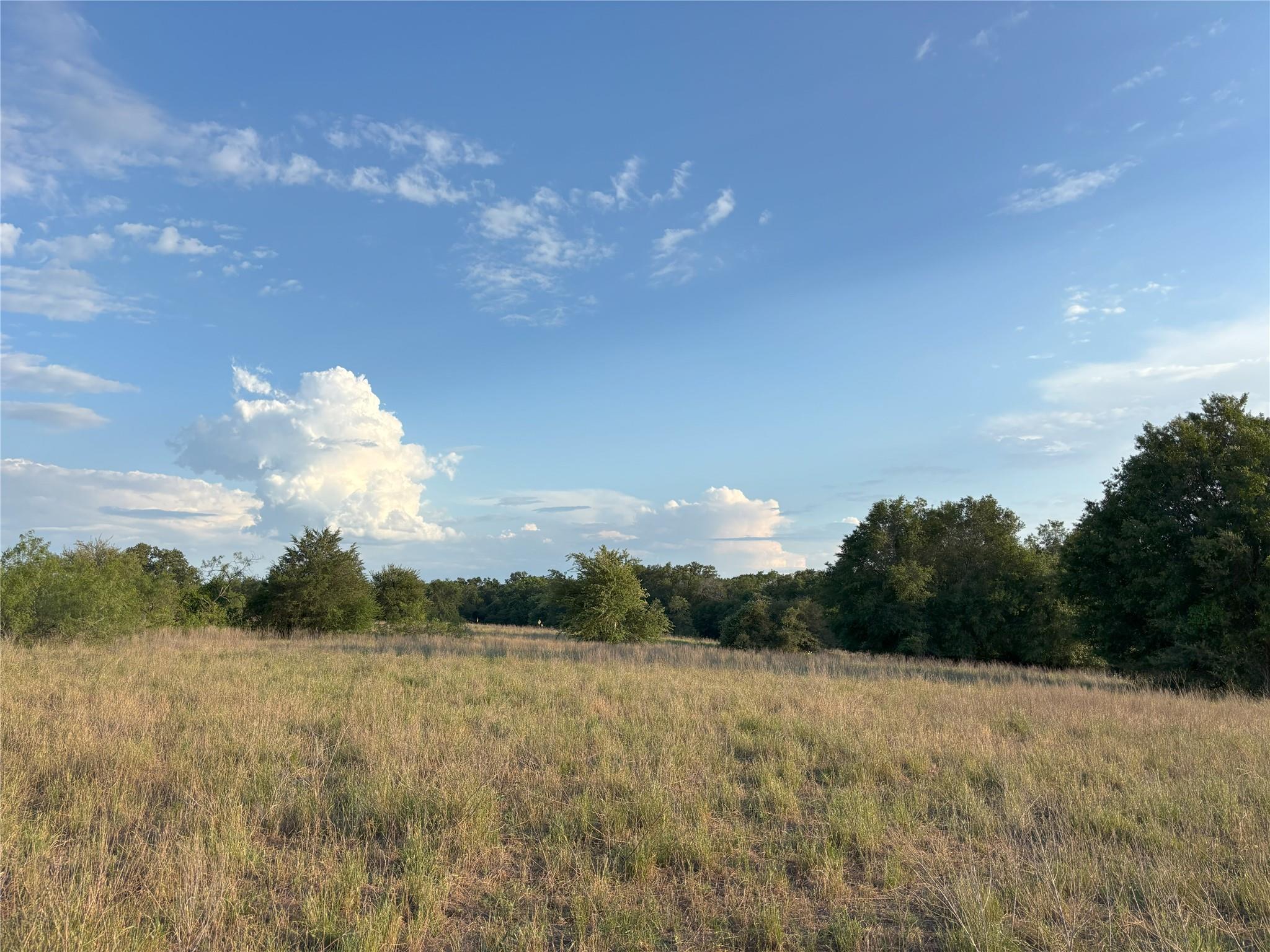 TBD CR 302, Rockdale, TX 76567