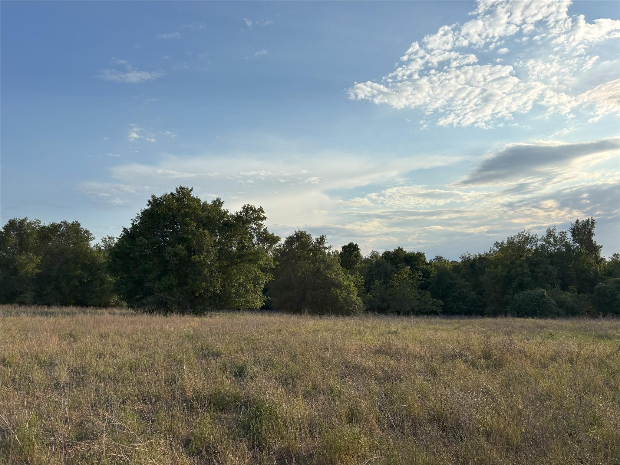 TBD CR 302, Rockdale, TX 76567