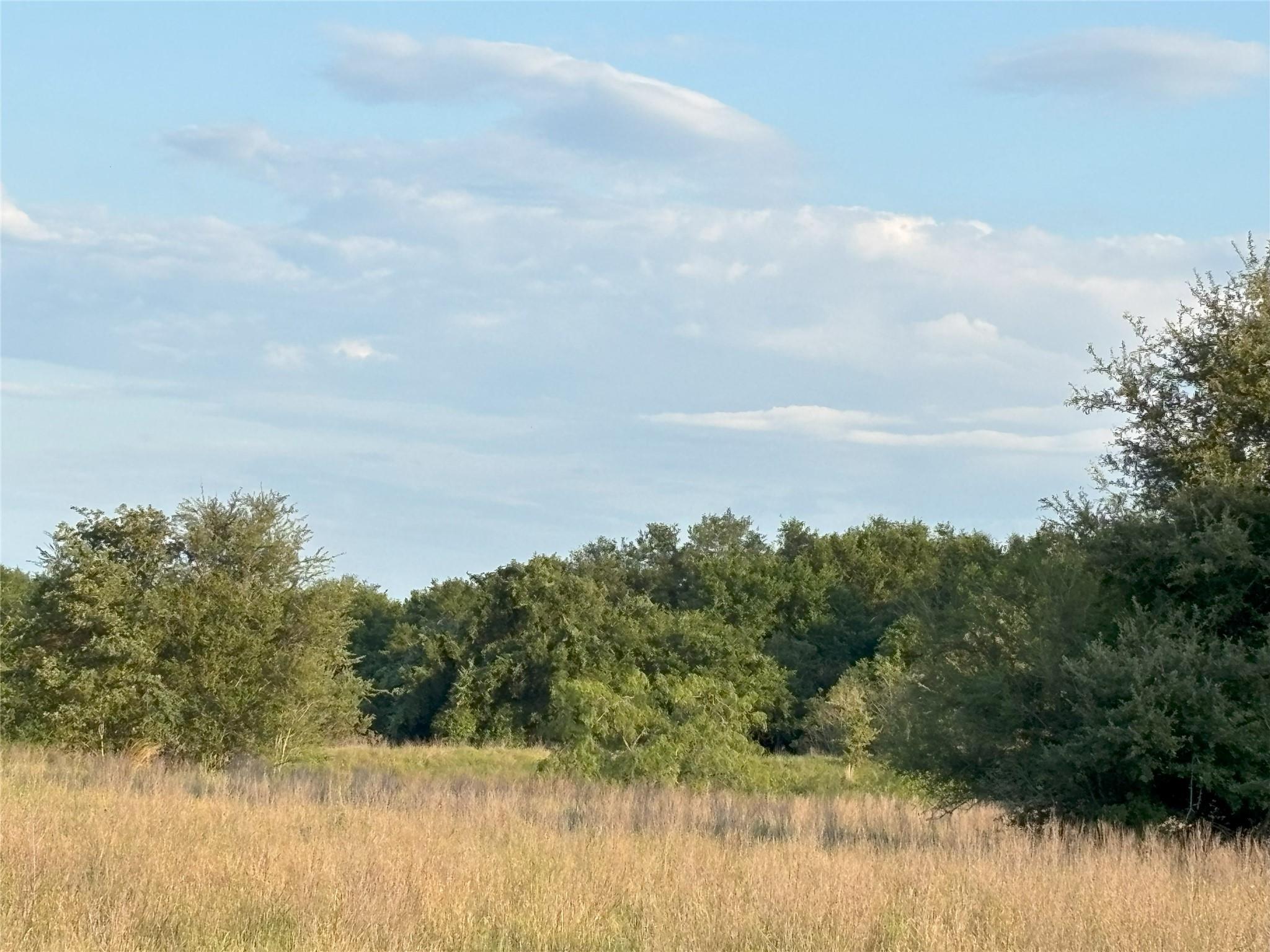 TBD CR 302, Rockdale, TX 76567