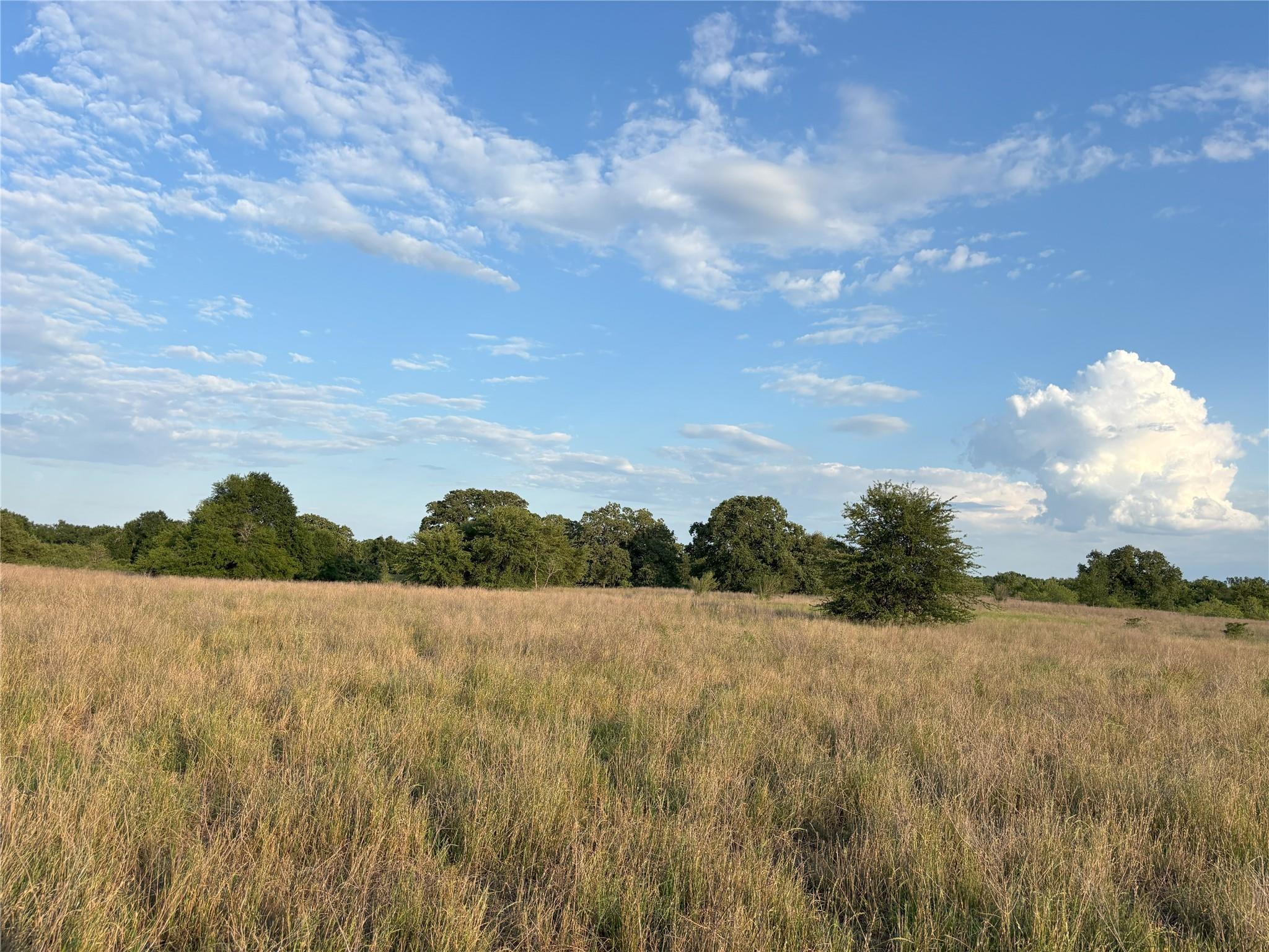 TBD CR 302, Rockdale, TX 76567