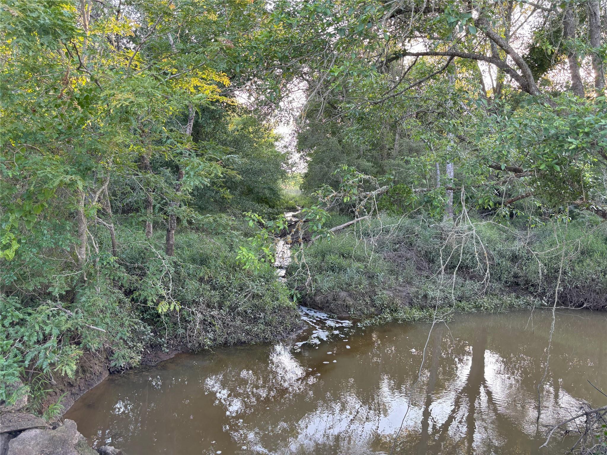 TBD CR 413, Lexington, TX 78947