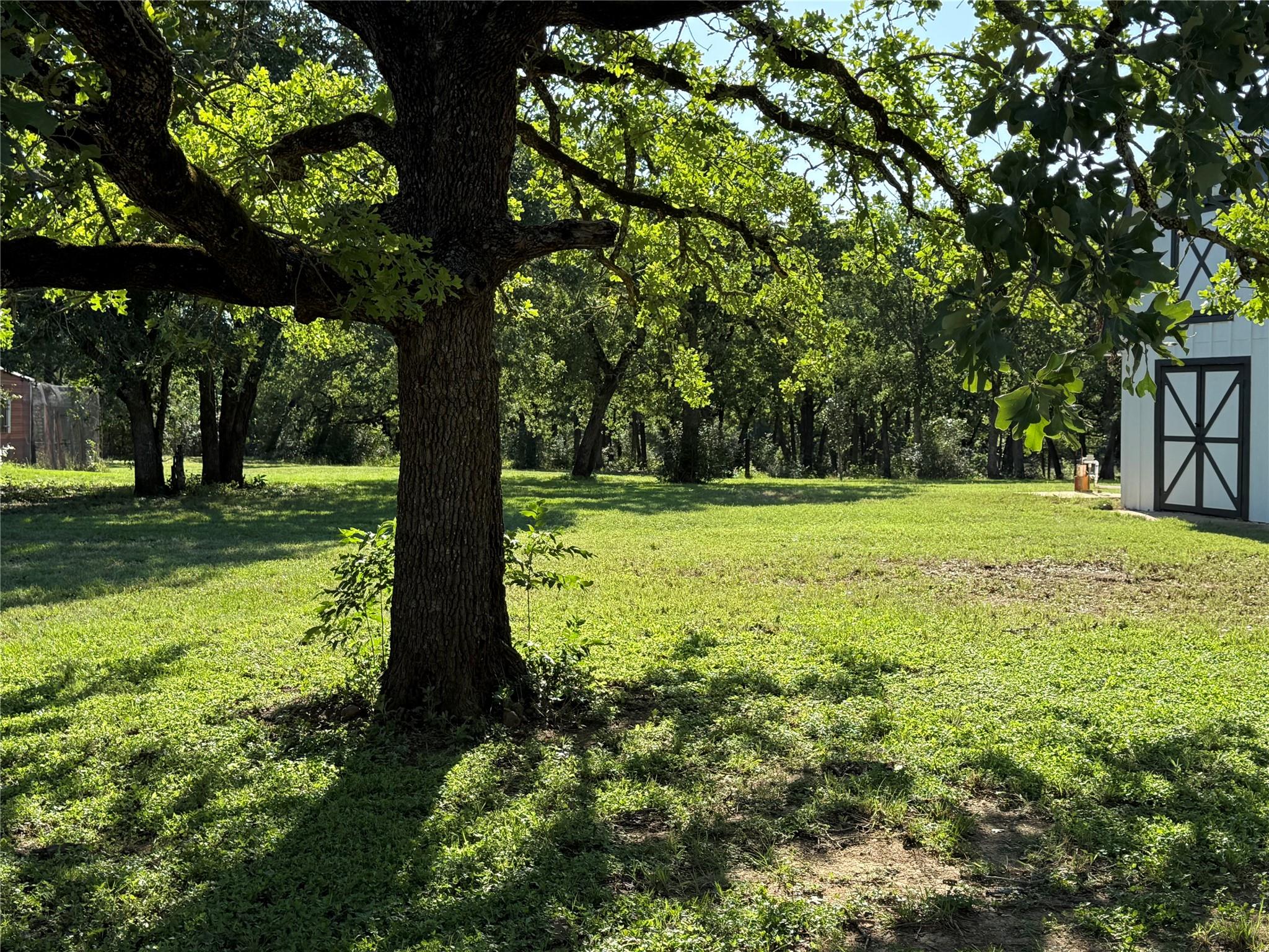 584 Old Antioch Rd, Smithville, TX 78957