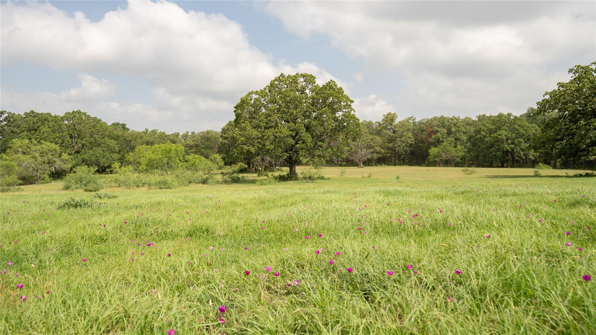 624 County Road 306, Rockdale, TX 76567