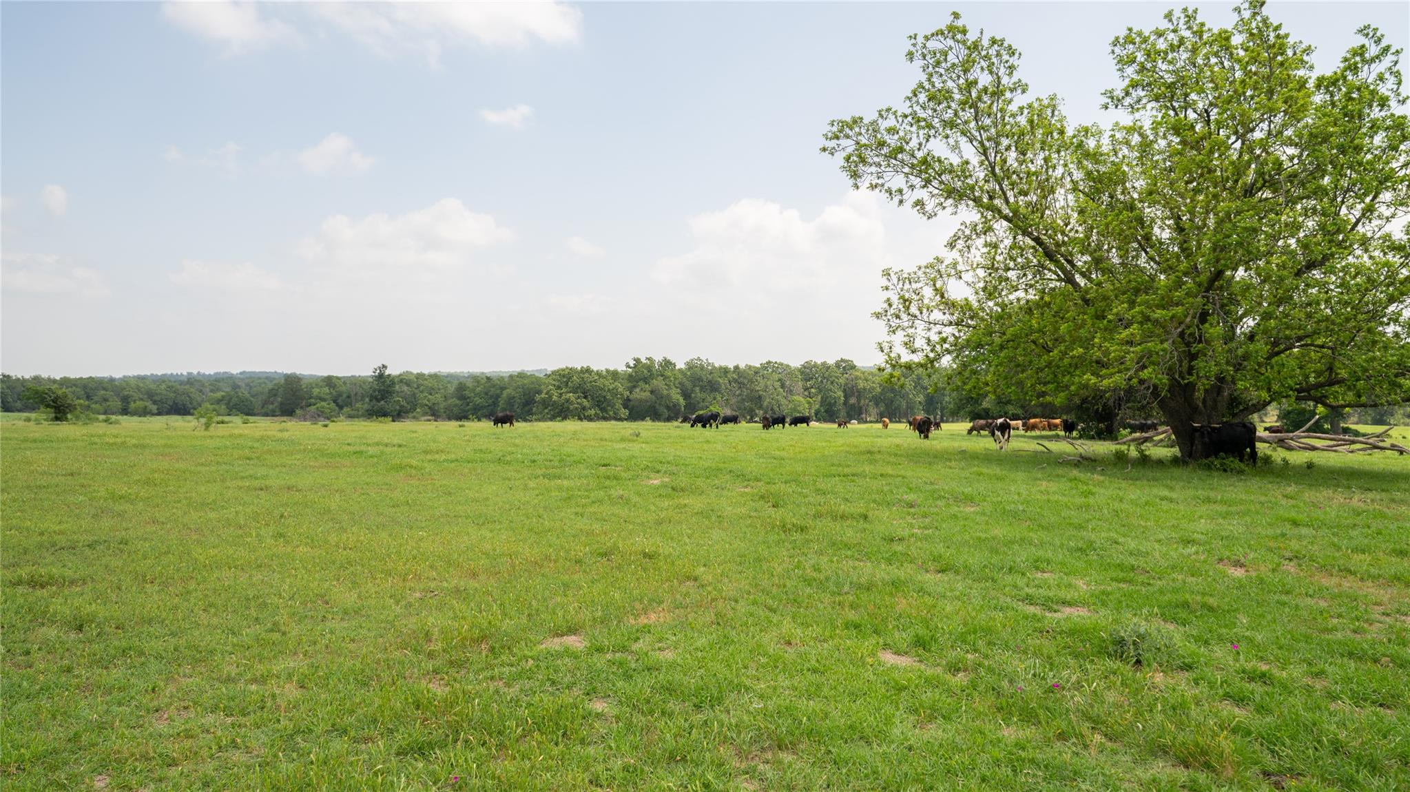 624 County Road 306, Rockdale, TX 76567