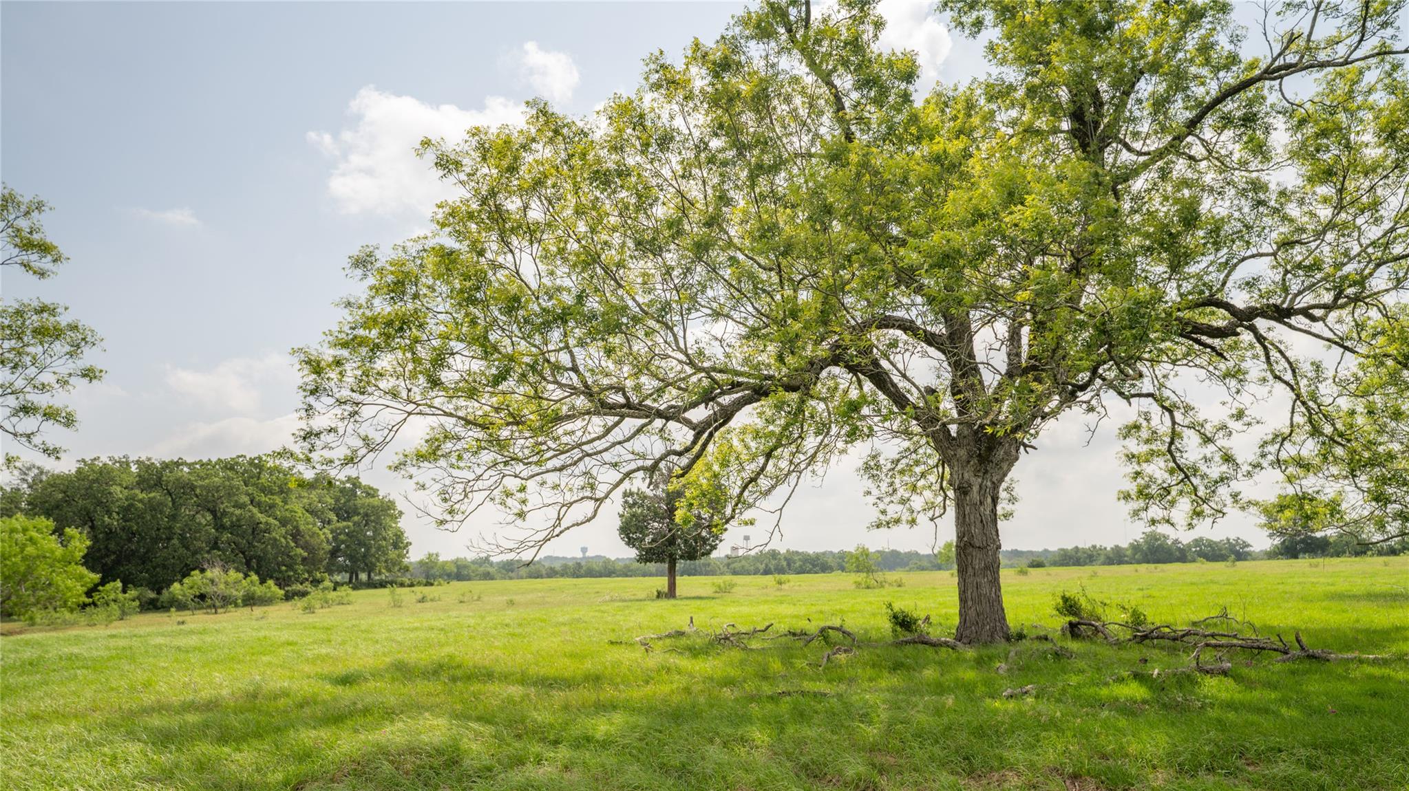 624 County Road 306, Rockdale, TX 76567