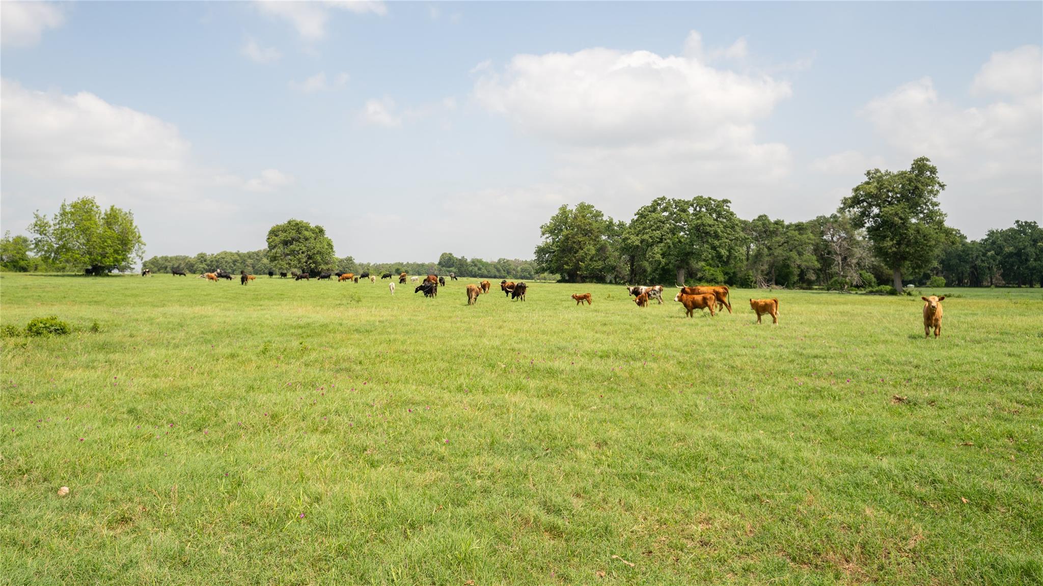 624 County Road 306, Rockdale, TX 76567