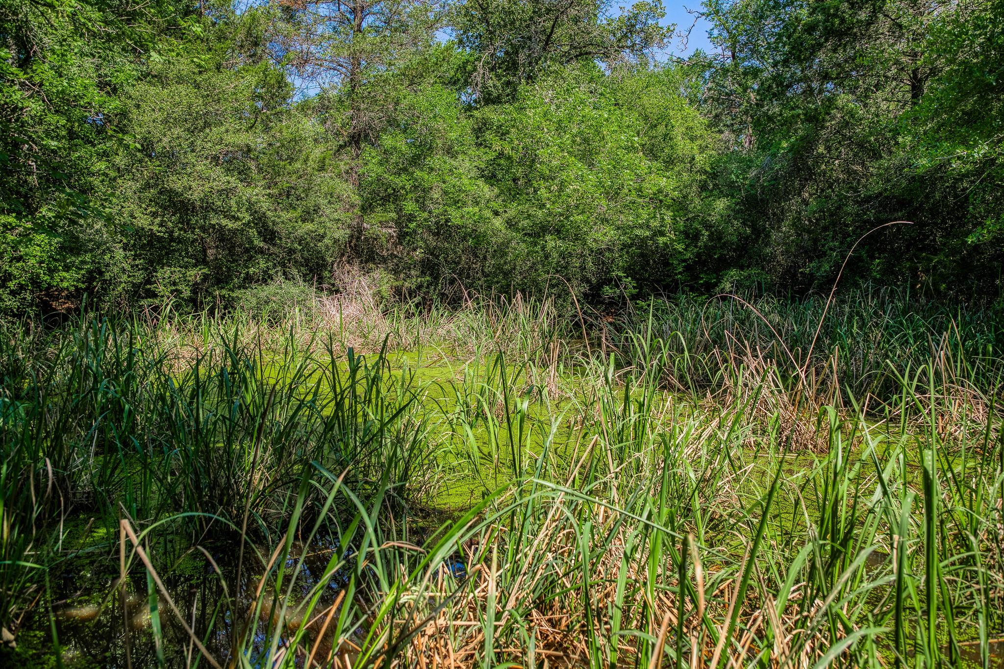 1012 County Road 438, Lexington, TX 78947