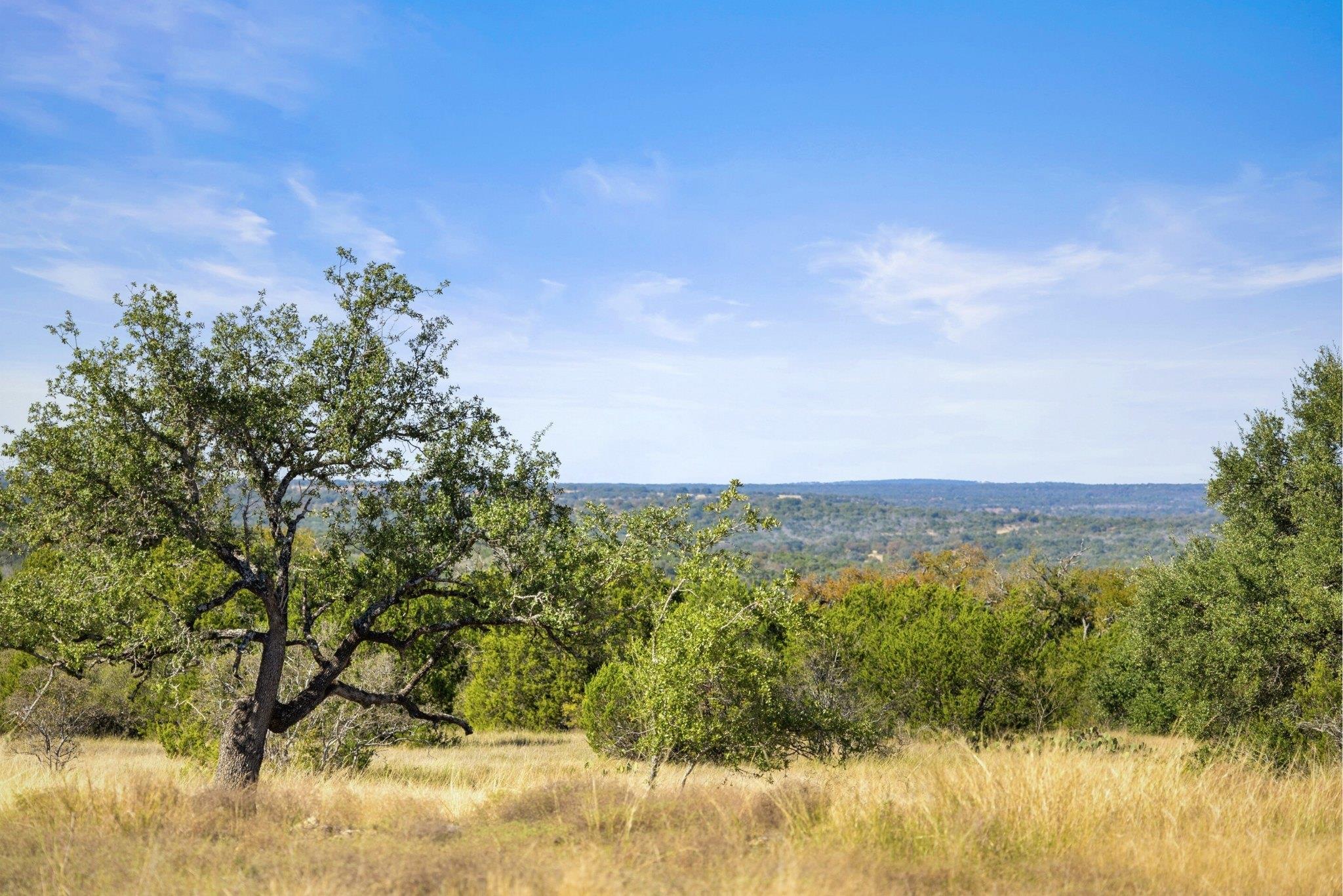 TBD Gipson Rd, Johnson City, TX 78636