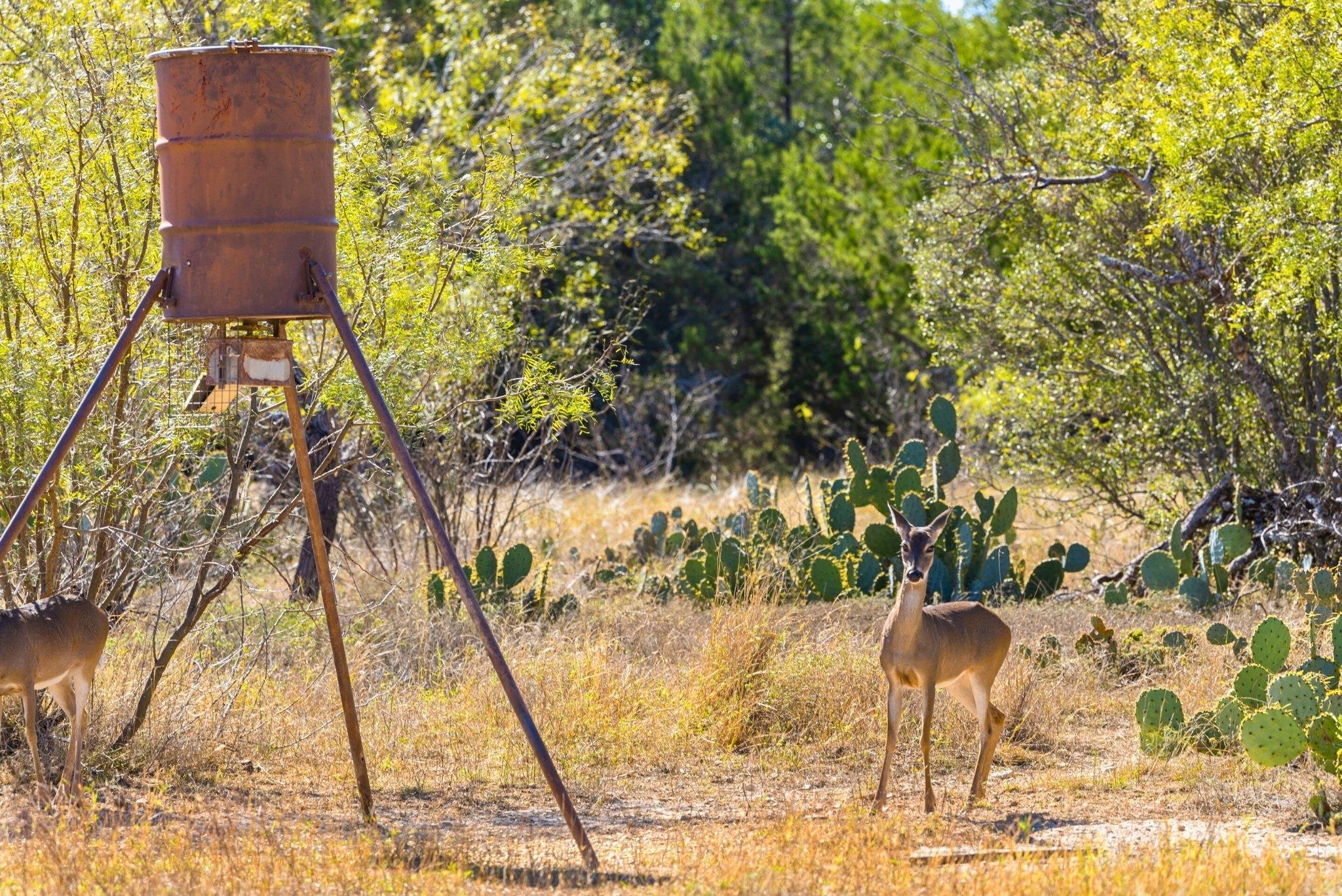 TBD Gipson Rd, Johnson City, TX 78636