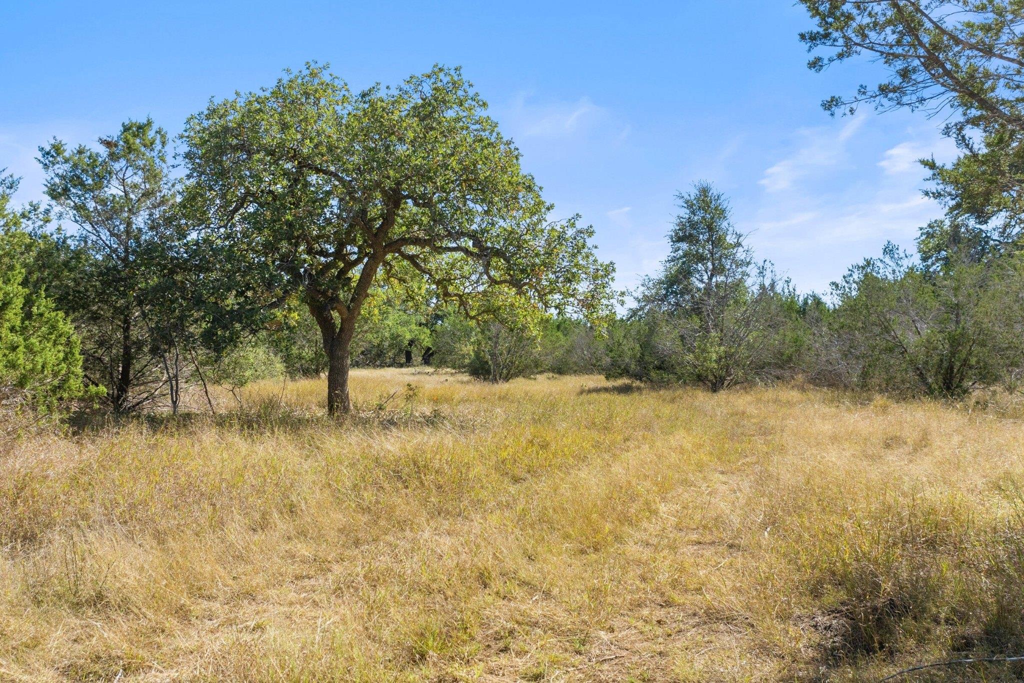 TBD Gipson Rd, Johnson City, TX 78636