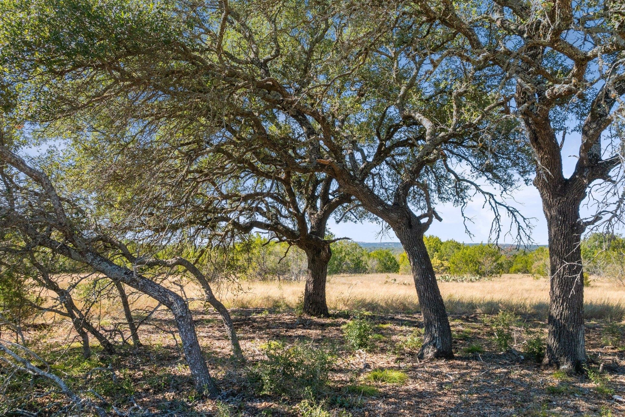 TBD Gipson Rd, Johnson City, TX 78636