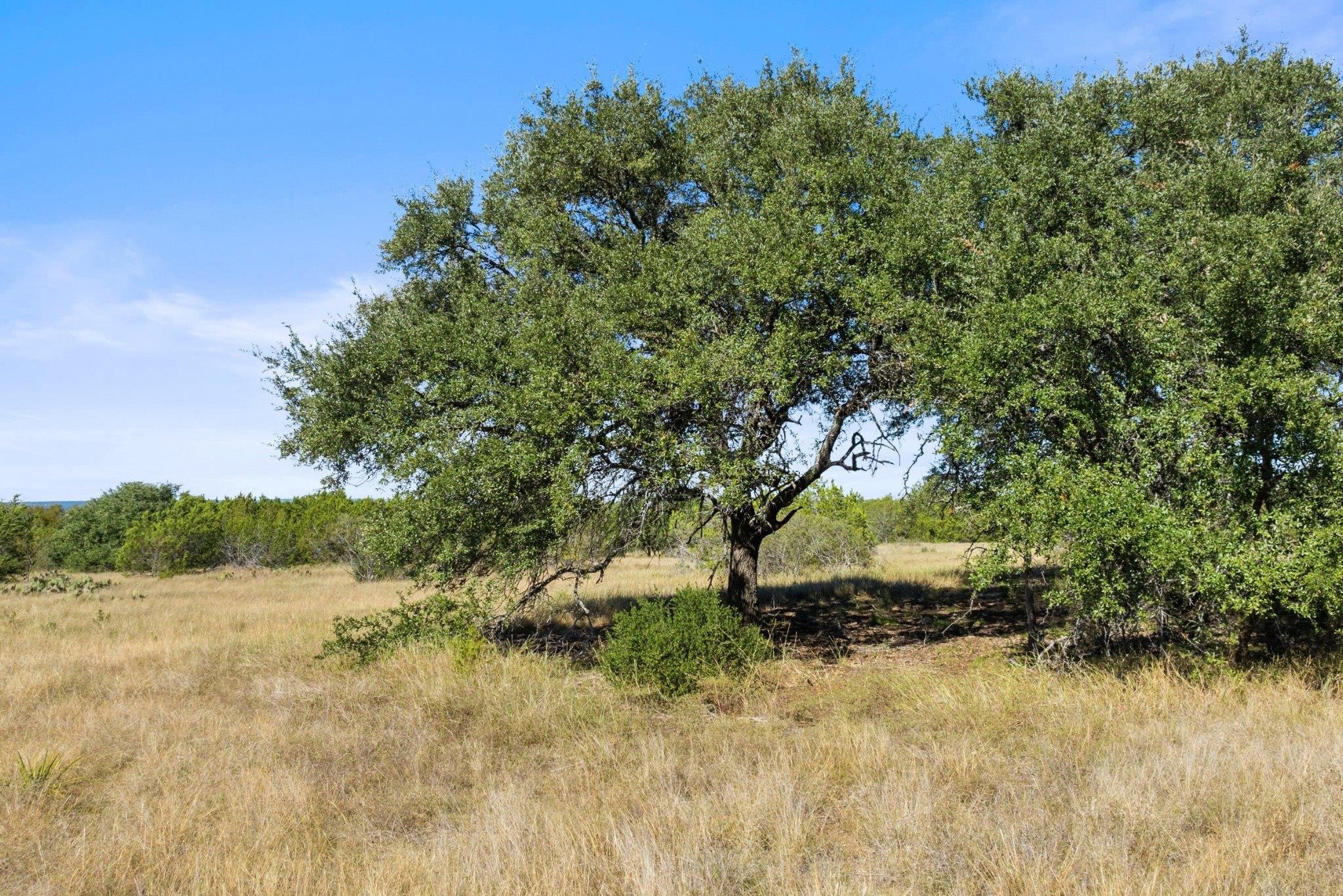 TBD Gipson Rd, Johnson City, TX 78636