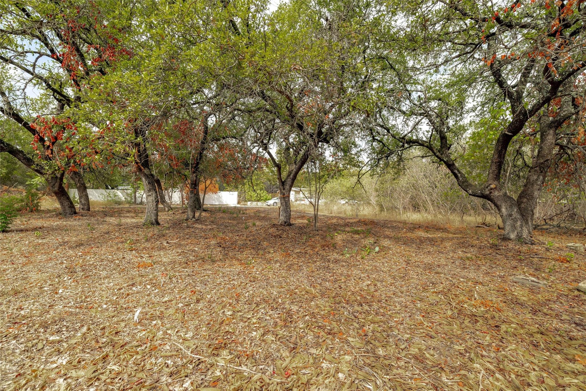 10601 W Lakeview Dr, Jonestown, TX 78645