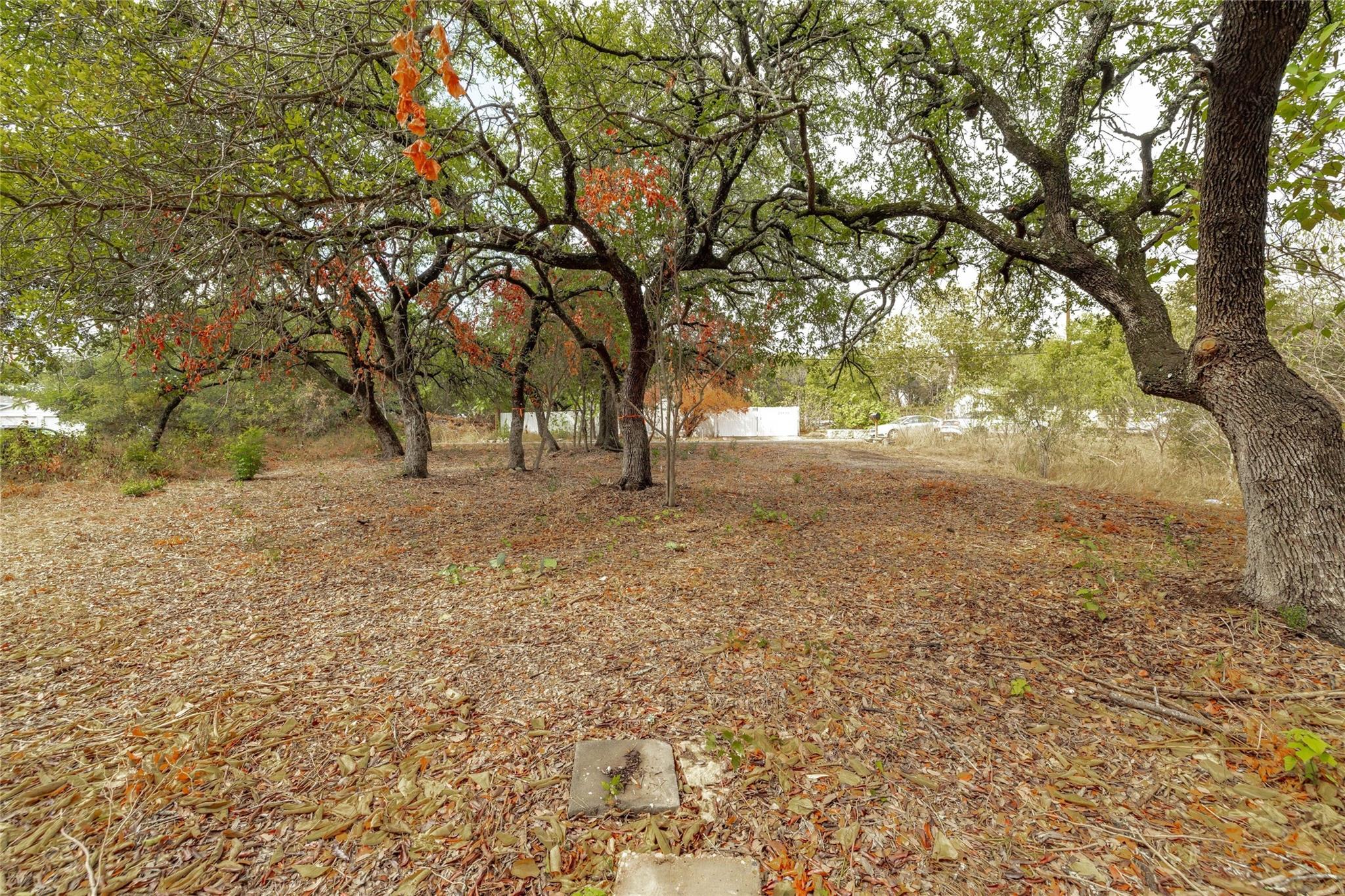 10601 W Lakeview Dr, Jonestown, TX 78645