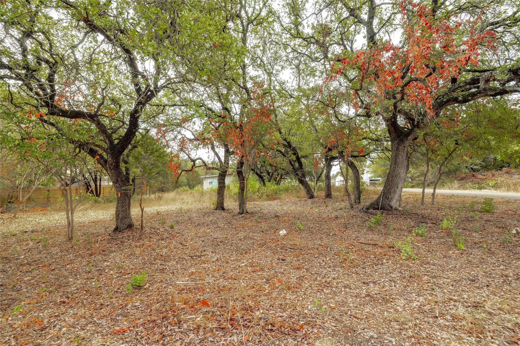 10601 W Lakeview Dr, Jonestown, TX 78645