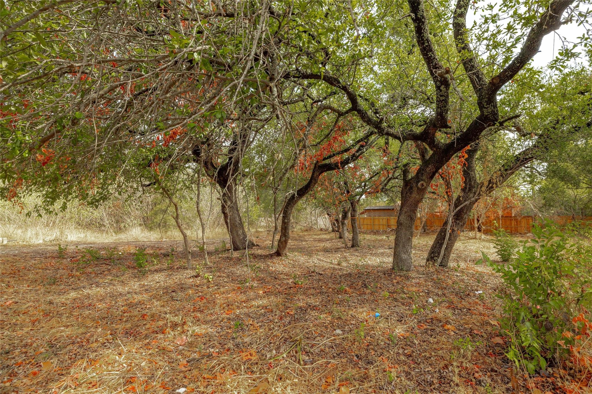 10601 W Lakeview Dr, Jonestown, TX 78645