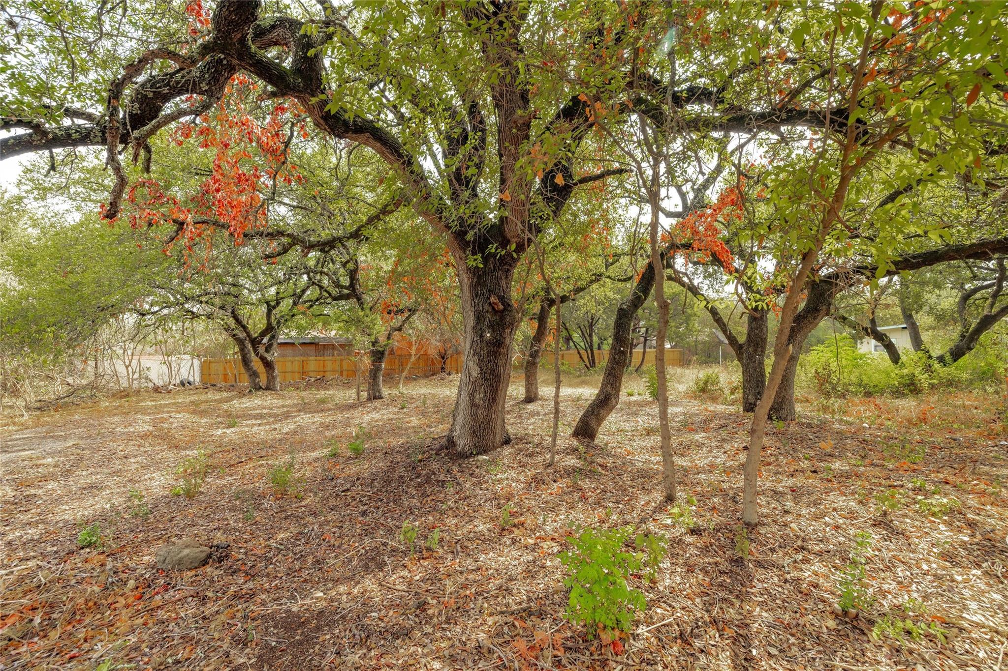 10601 W Lakeview Dr, Jonestown, TX 78645