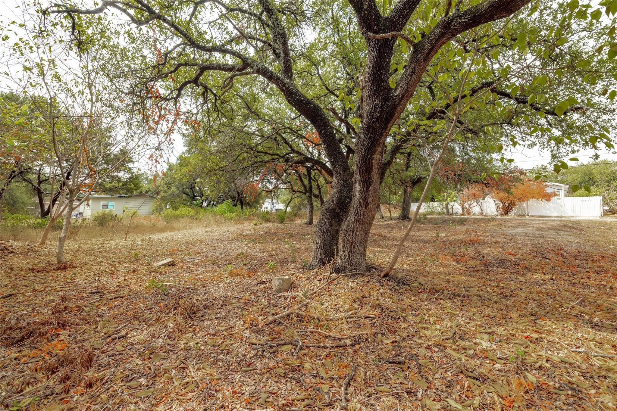 10601 W Lakeview Dr, Jonestown, TX 78645