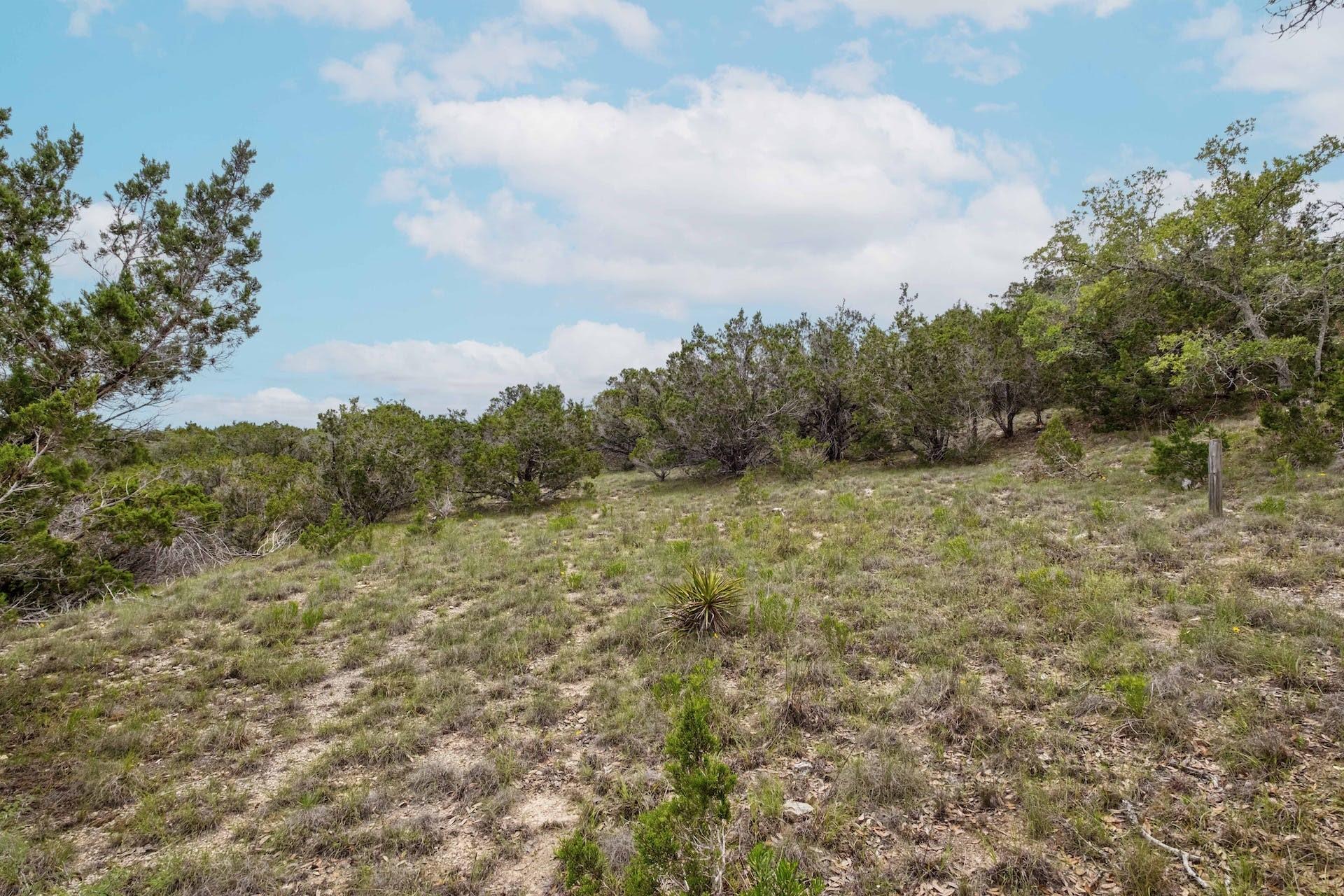 TBD Shelton Ranch Rd, Dripping Springs, TX 78620