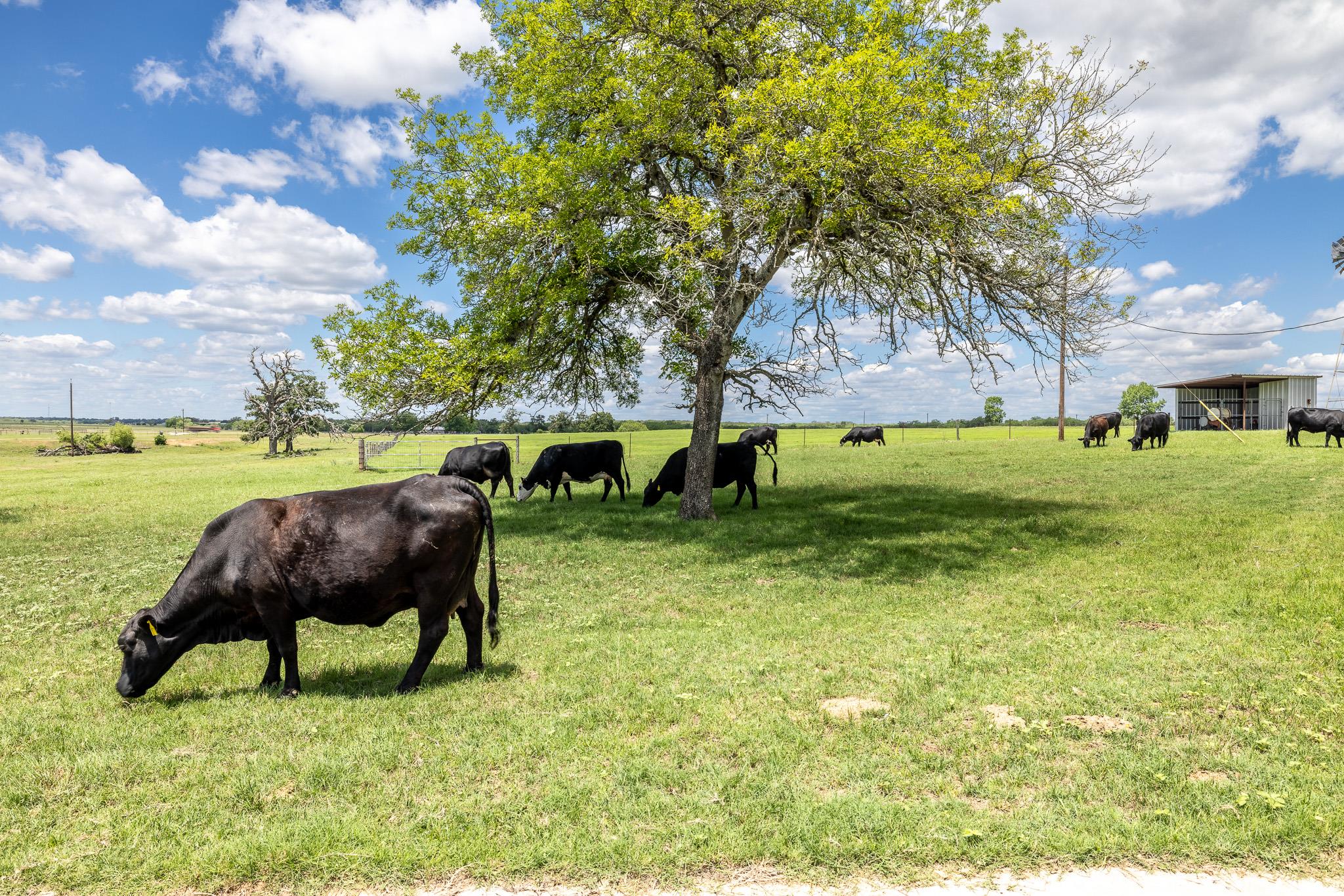 6589 State Highway 304, Harwood, TX 78632
