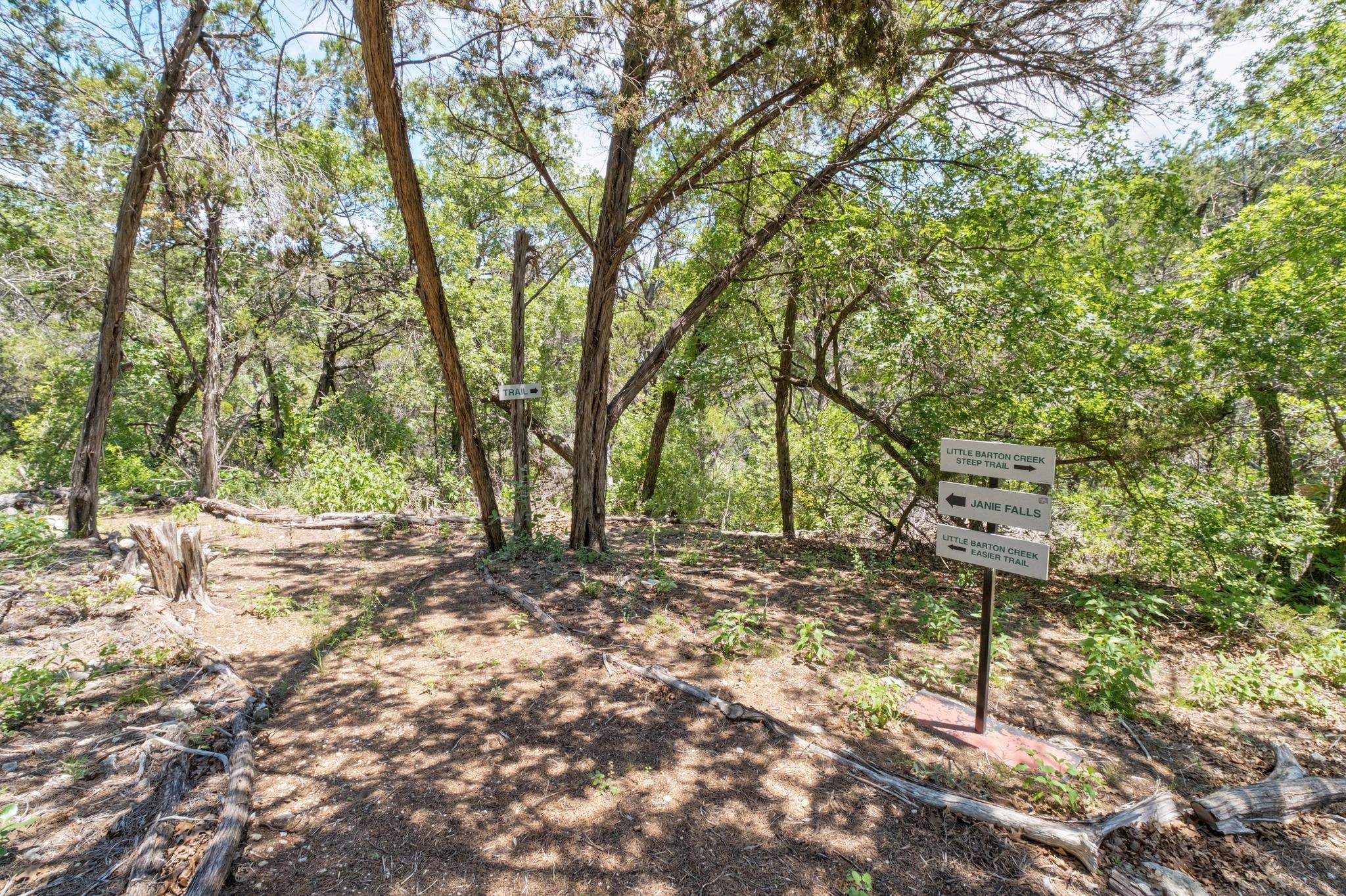 9201 Silver Pine Cv, Austin, TX 78733