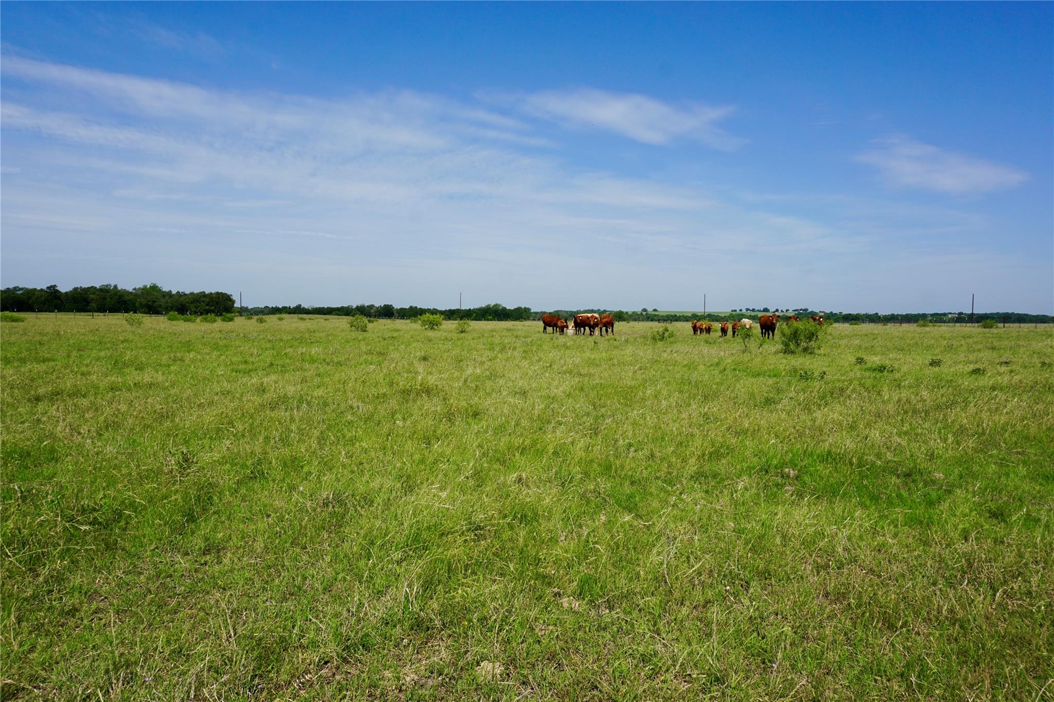 Cr 101 County Road 101 Rd, Rogers, TX 76569