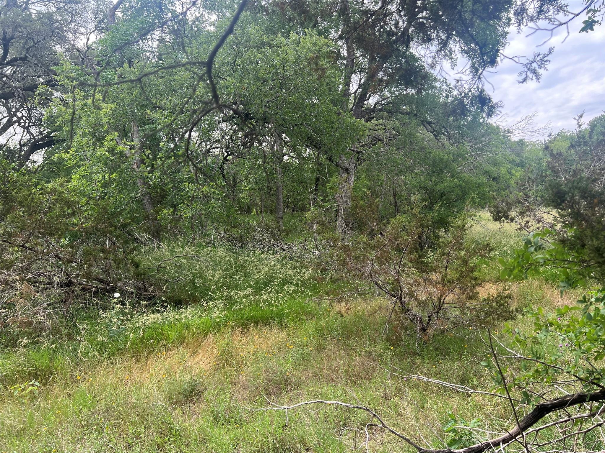 TBD Narrows Rd, Blanco, TX 78606