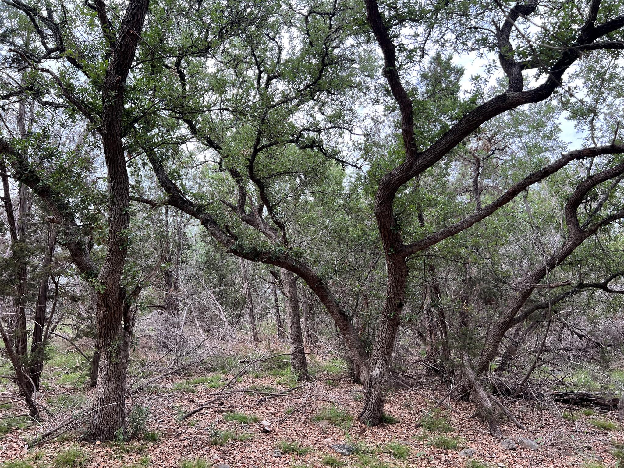 TBD Narrows Rd, Blanco, TX 78606