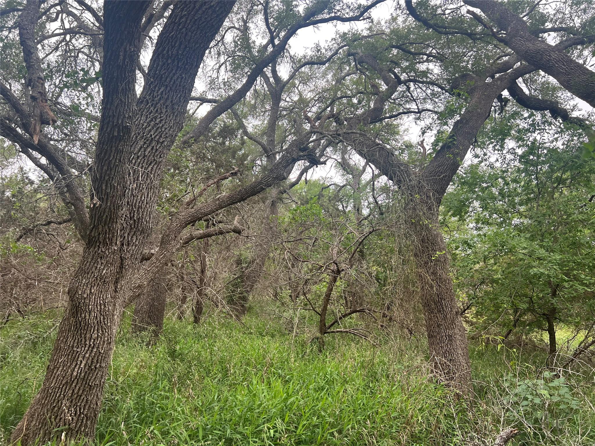 TBD Narrows Rd, Blanco, TX 78606