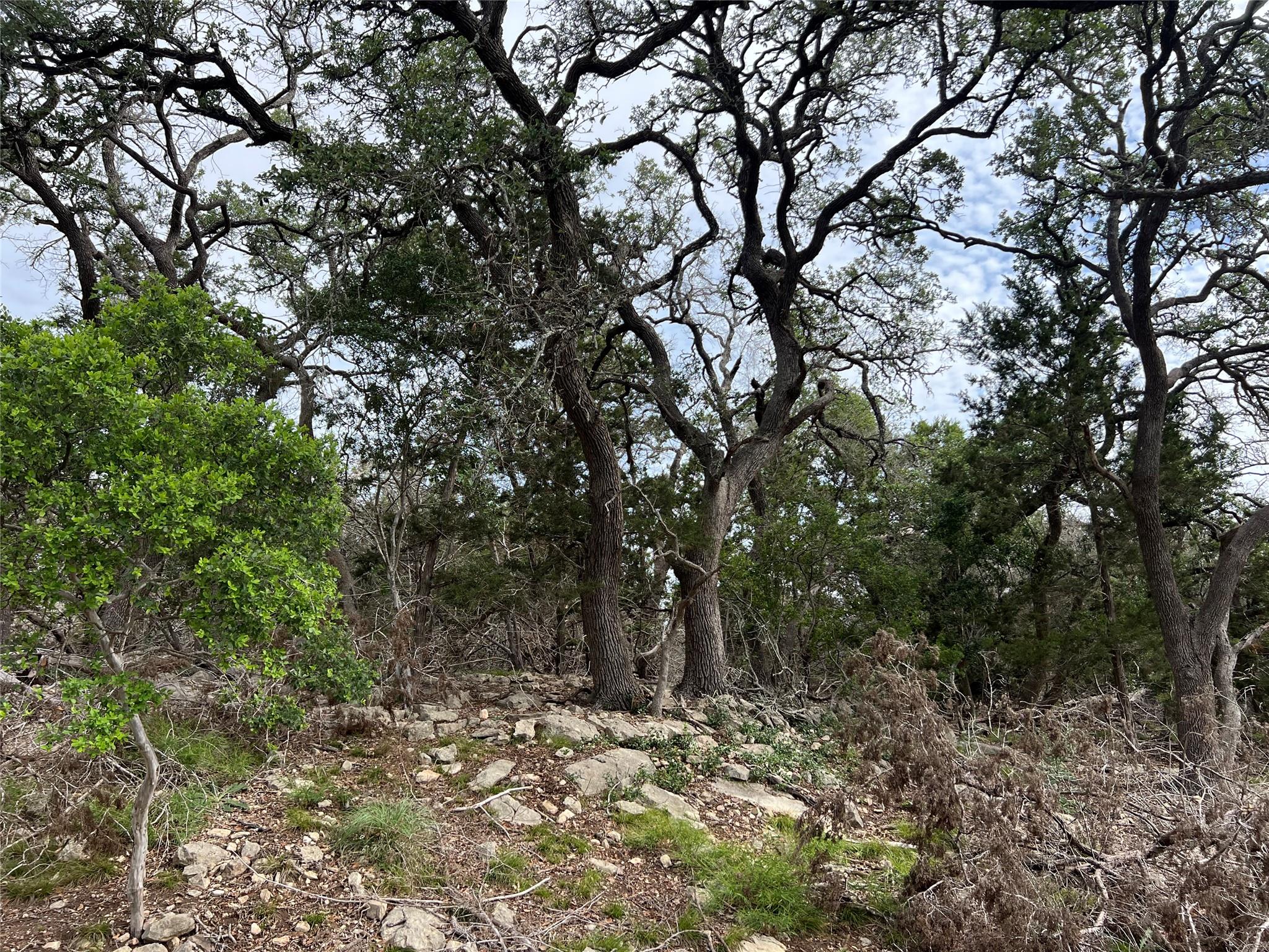 TBD Narrows Rd, Blanco, TX 78606