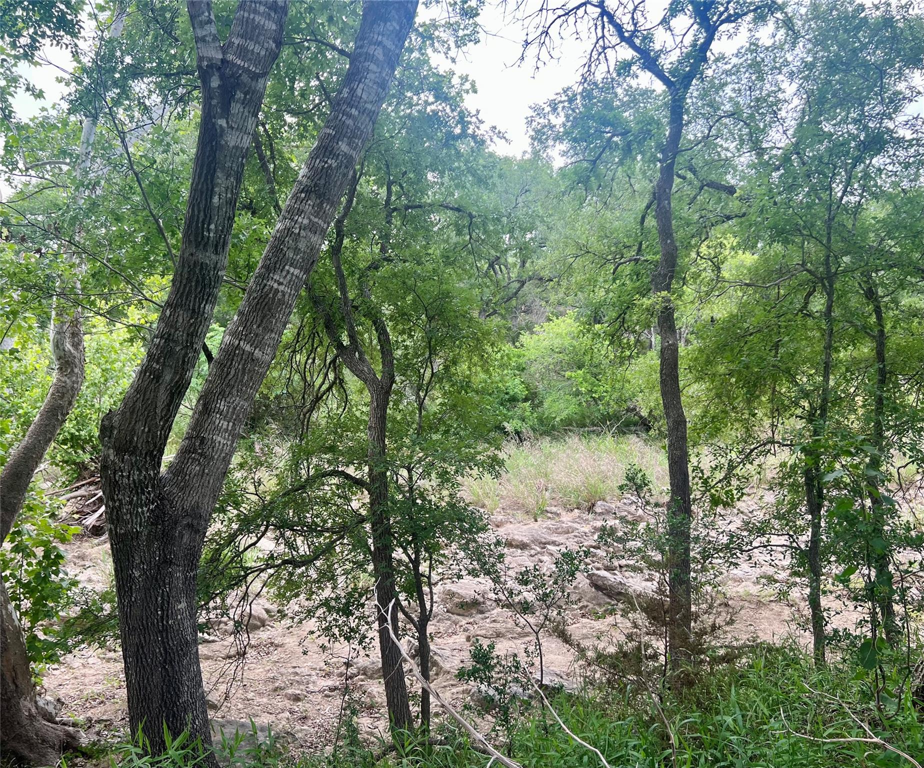 TBD Narrows Rd, Blanco, TX 78606