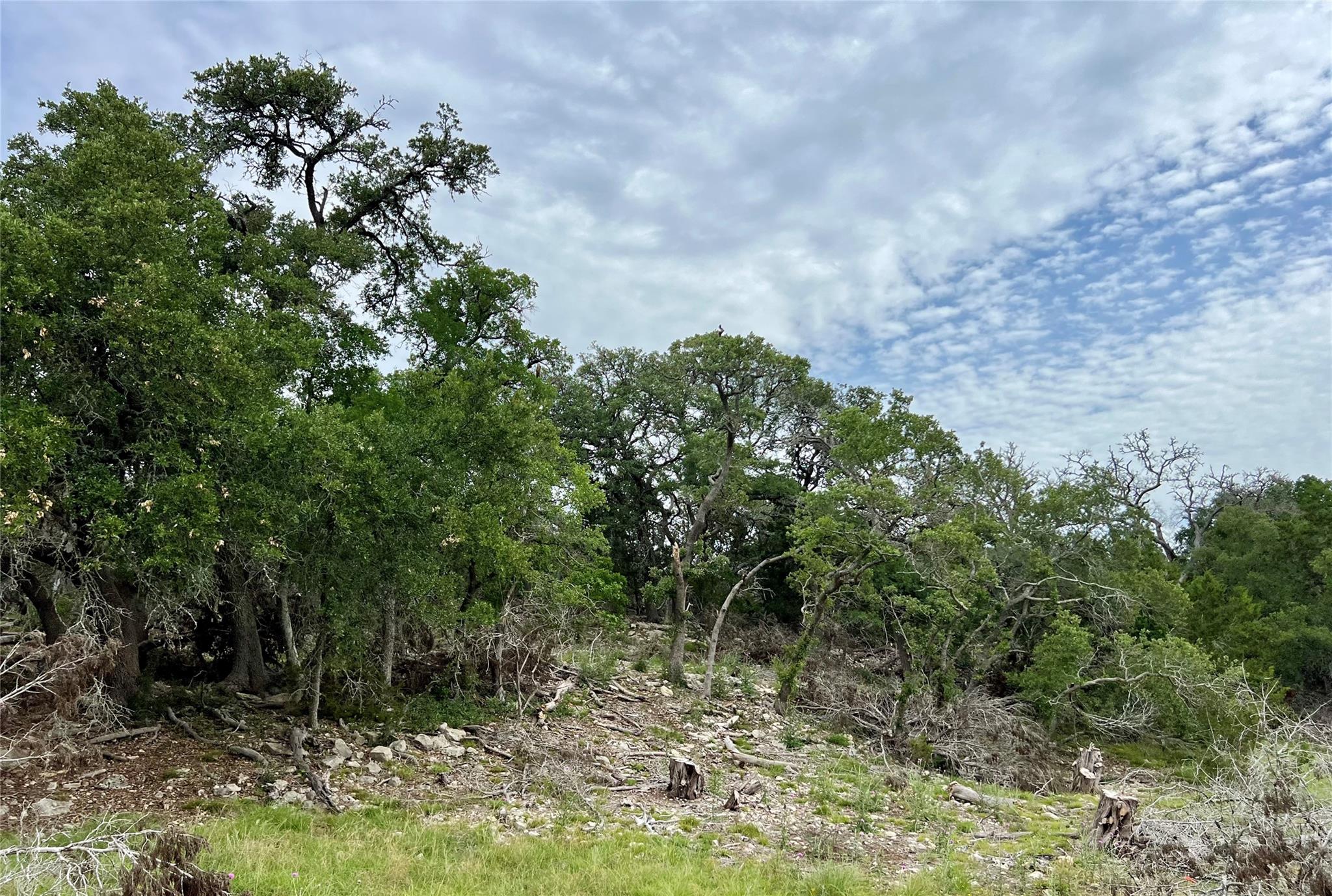 TBD Narrows Rd, Blanco, TX 78606