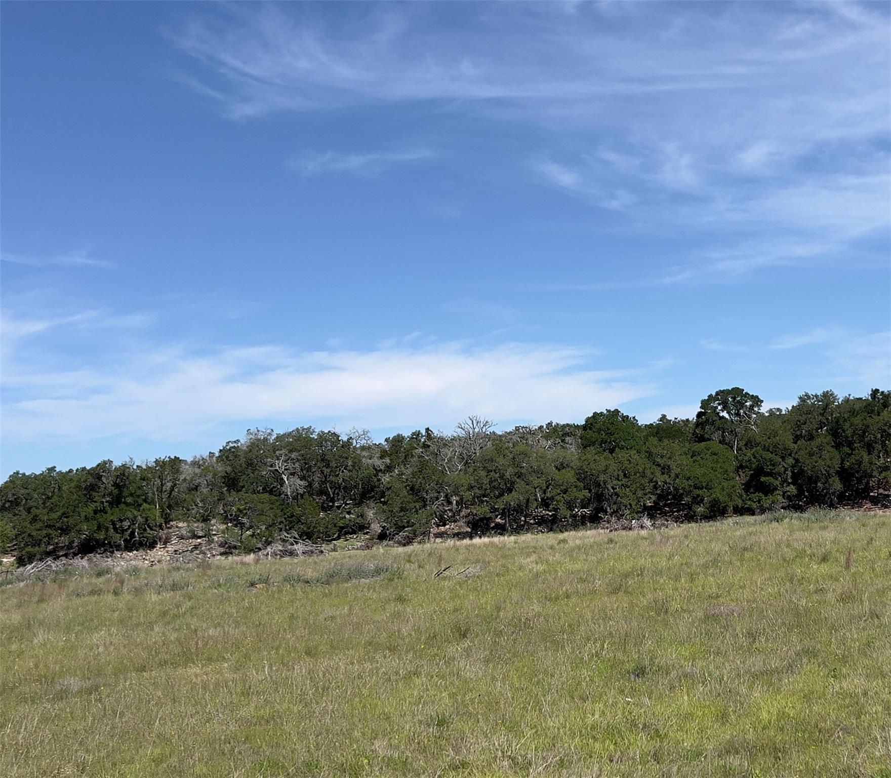 TBD Narrows Rd, Blanco, TX 78606
