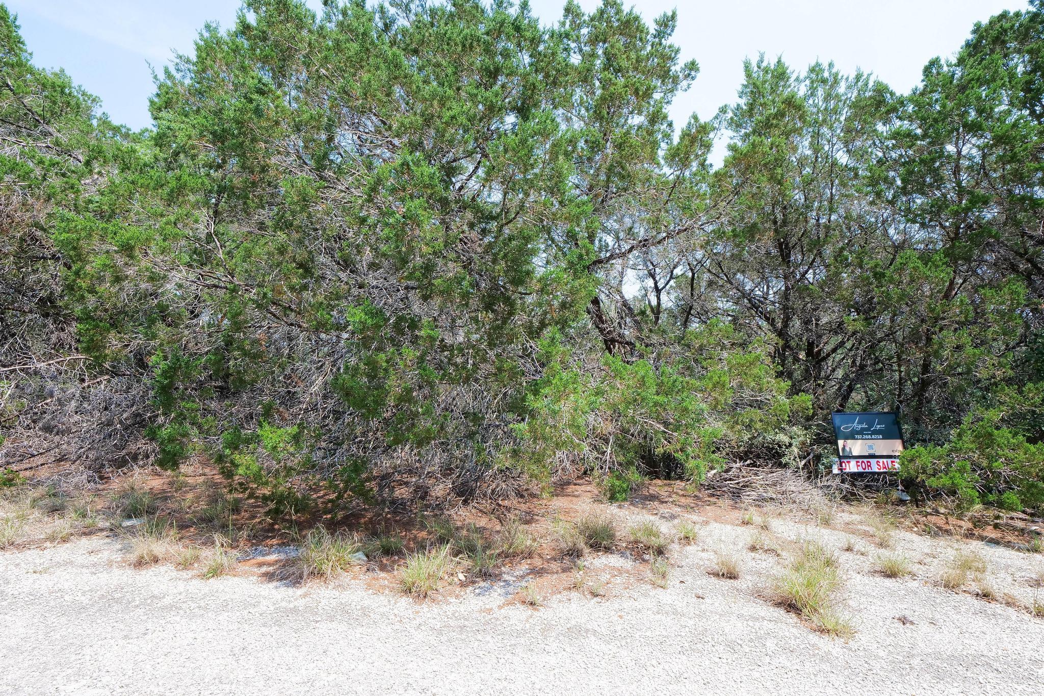 20604 Agarita Dr, Leander, TX 78645