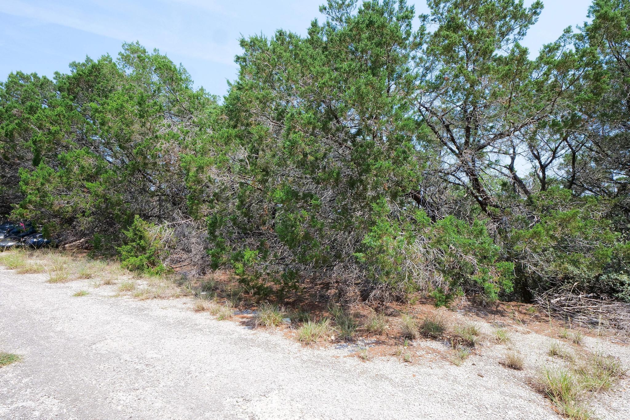 20604 Agarita Dr, Leander, TX 78645