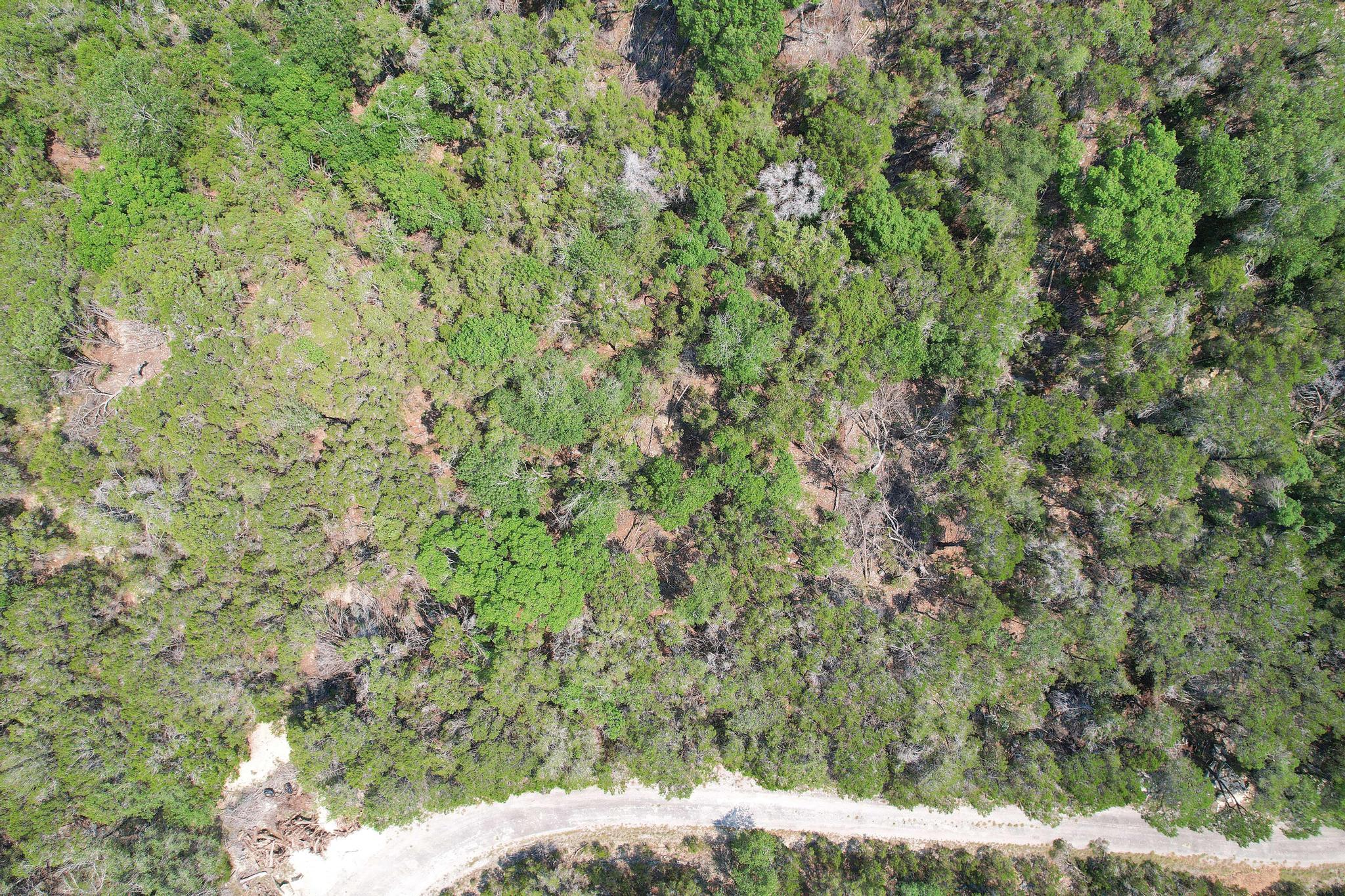 20604 Agarita Dr, Leander, TX 78645