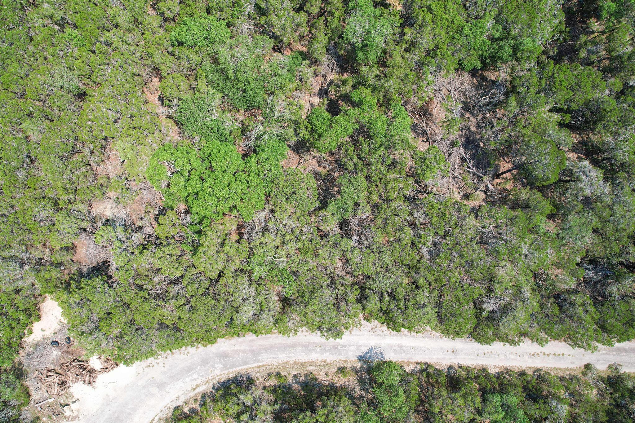 20604 Agarita Dr, Leander, TX 78645