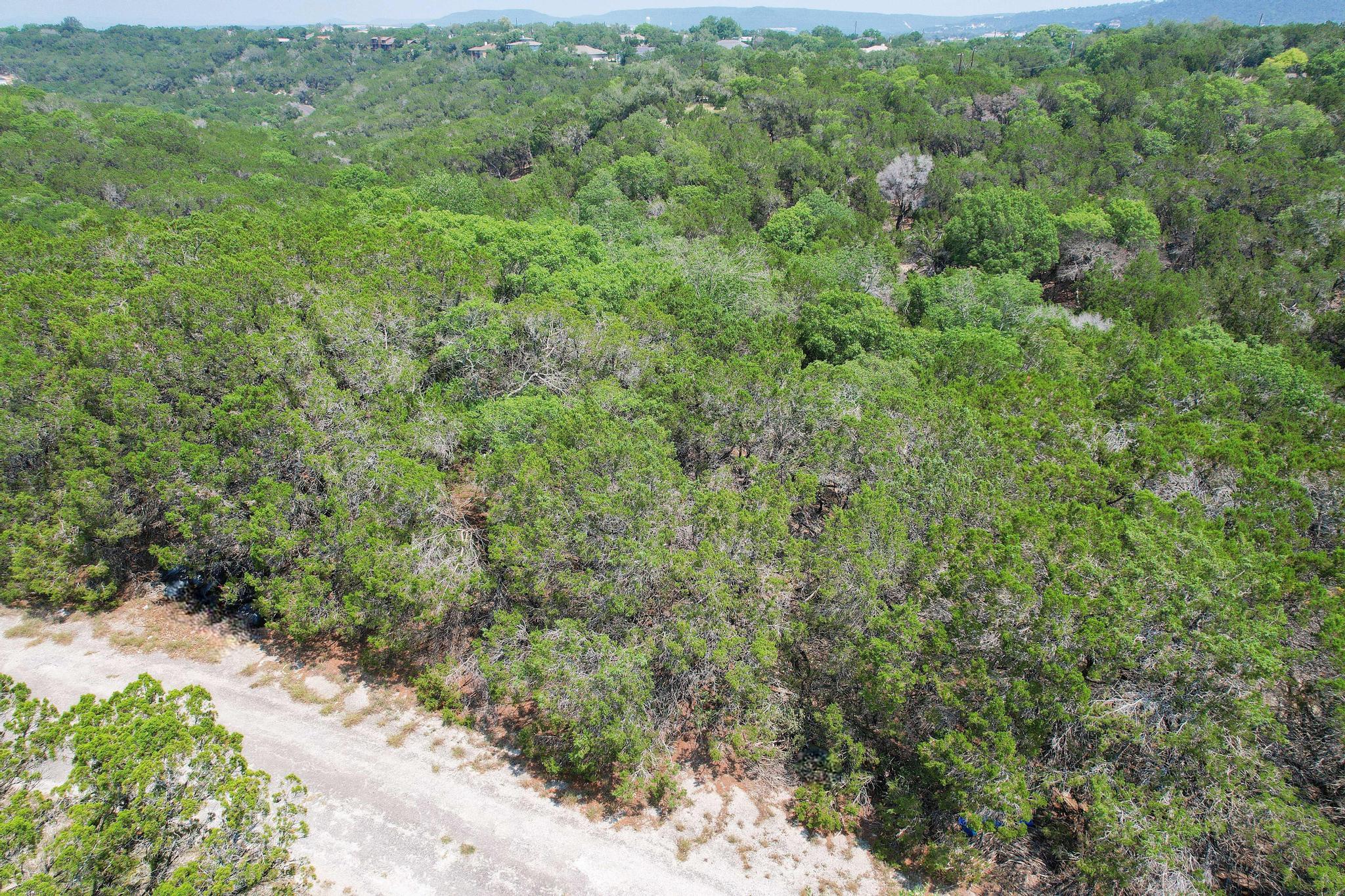 20604 Agarita Dr, Leander, TX 78645