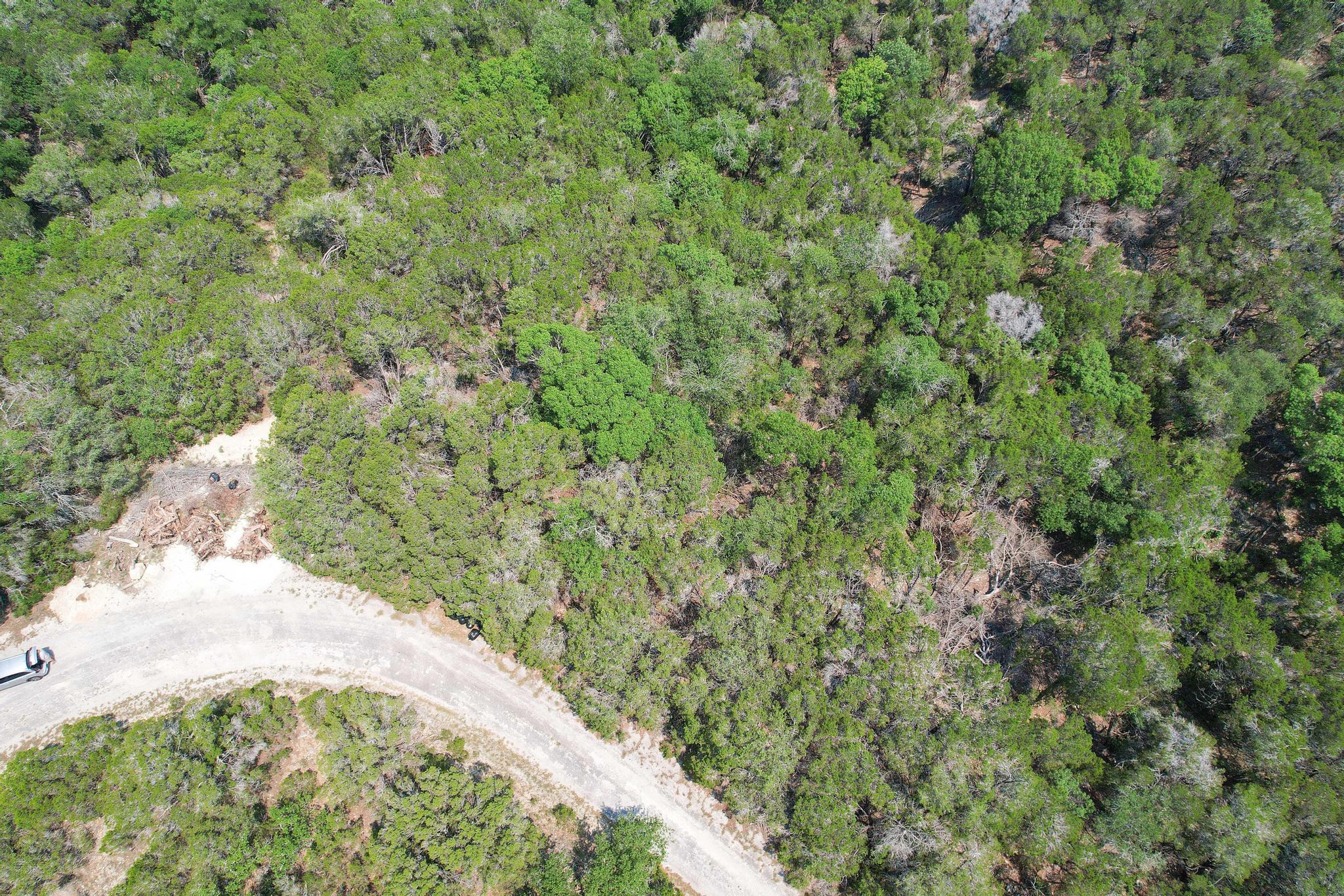 20604 Agarita Dr, Leander, TX 78645