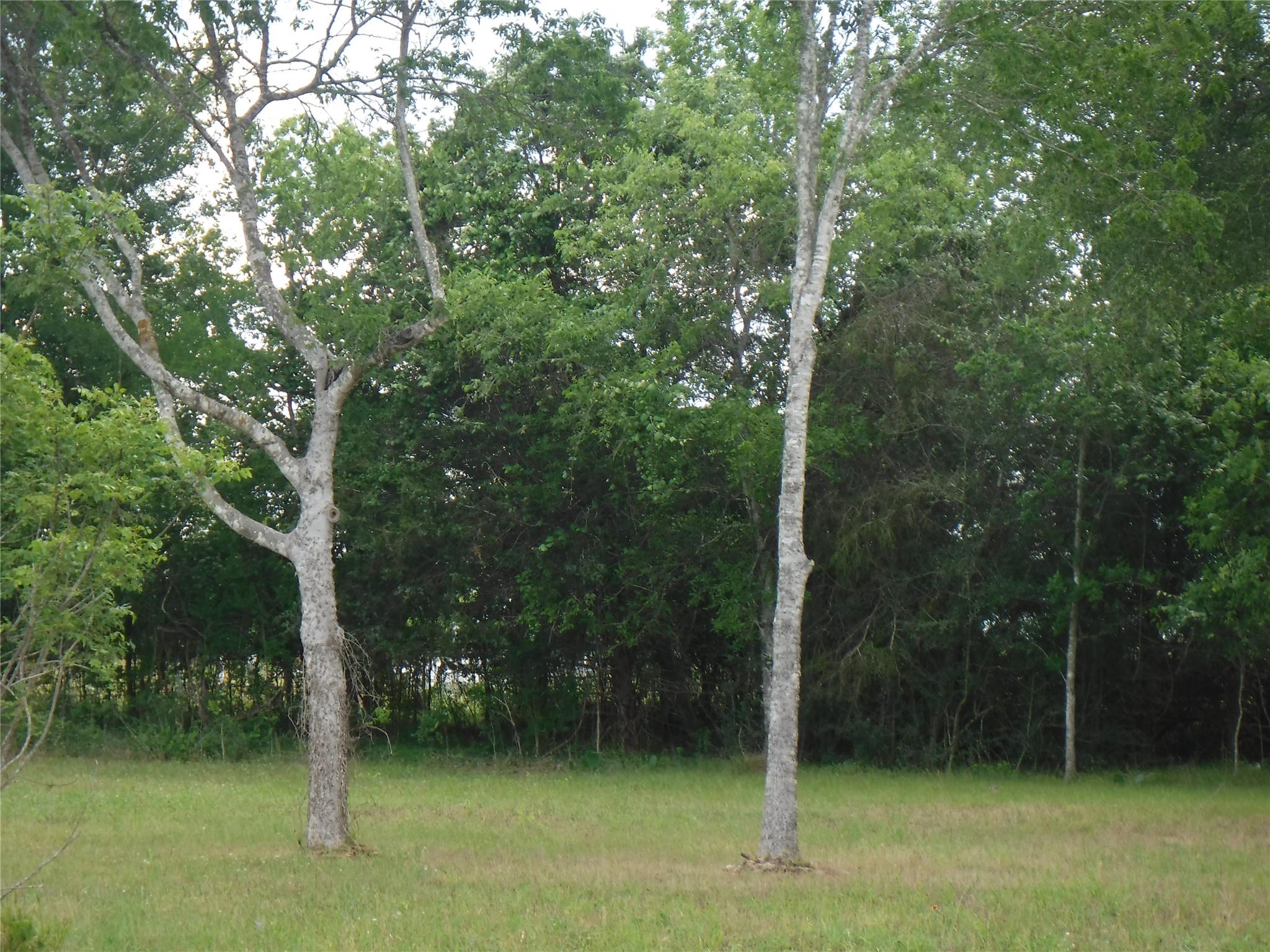 104 W Riverside Dr, Bastrop, TX 78602