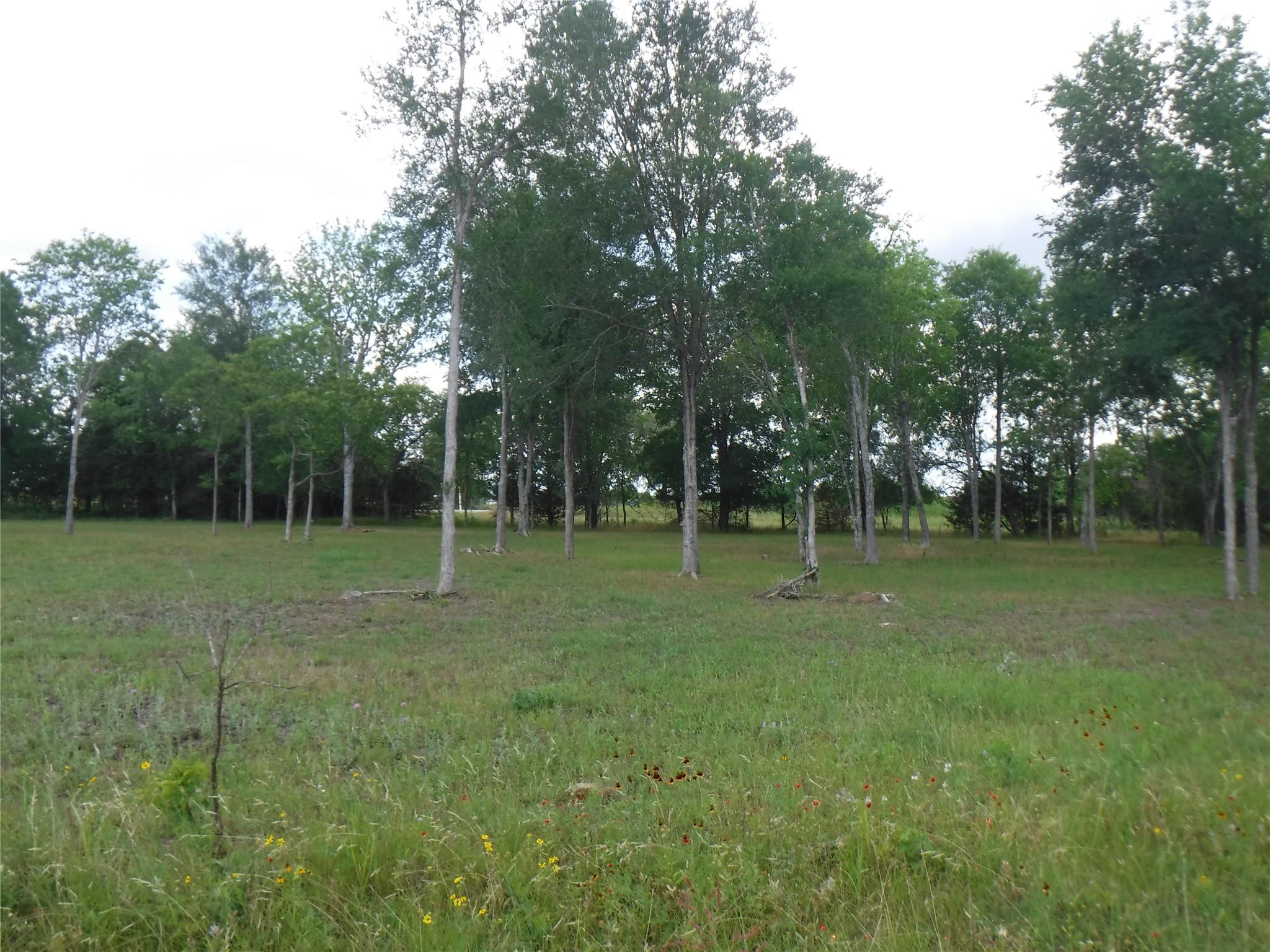 104 W Riverside Dr, Bastrop, TX 78602