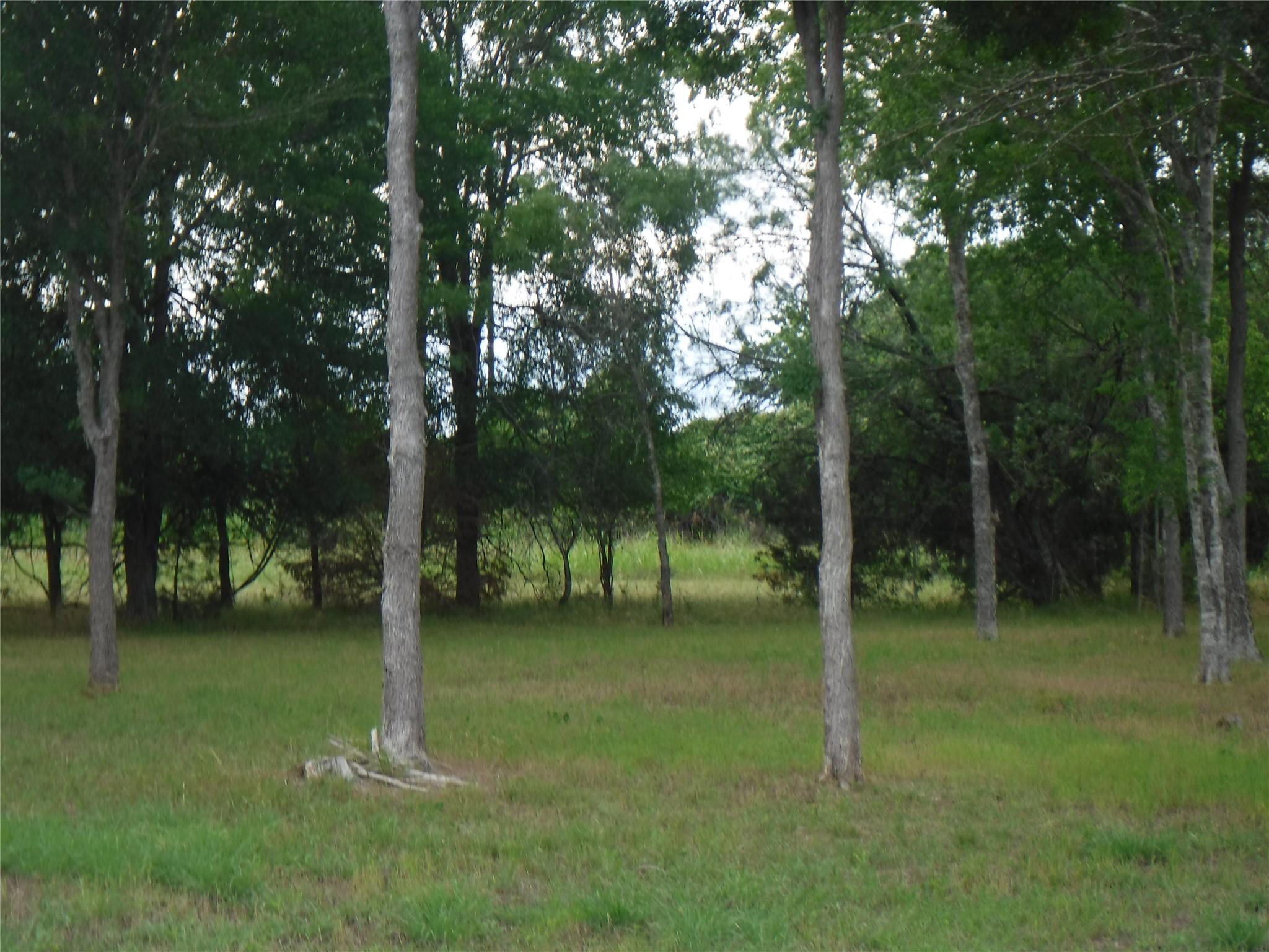 104 W Riverside Dr, Bastrop, TX 78602