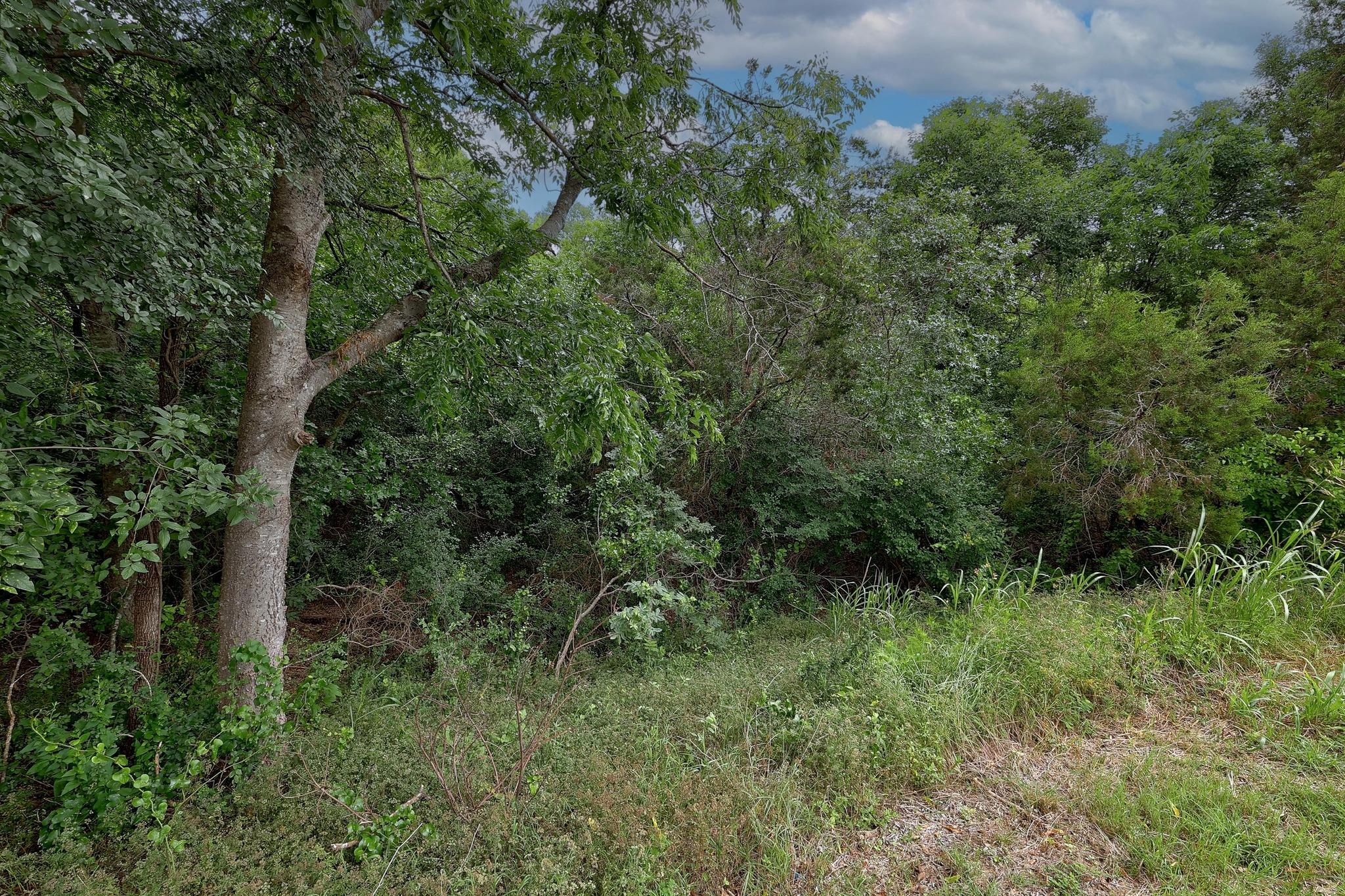 1614 San Gabriel Ranch Rd, Liberty Hill, TX 78642