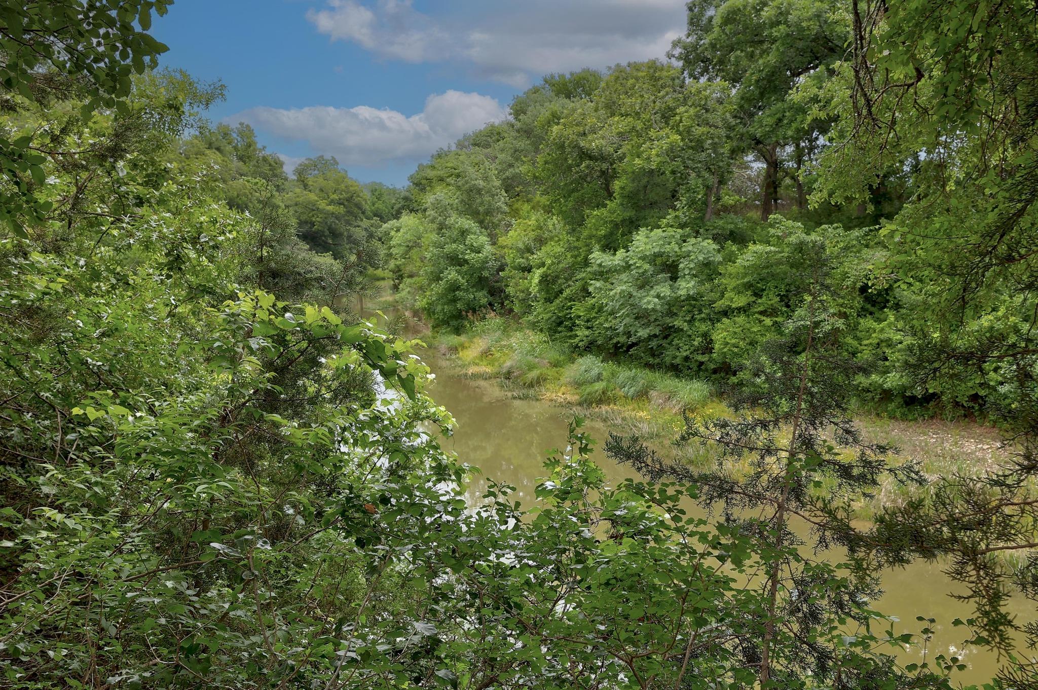 1614 San Gabriel Ranch Rd, Liberty Hill, TX 78642