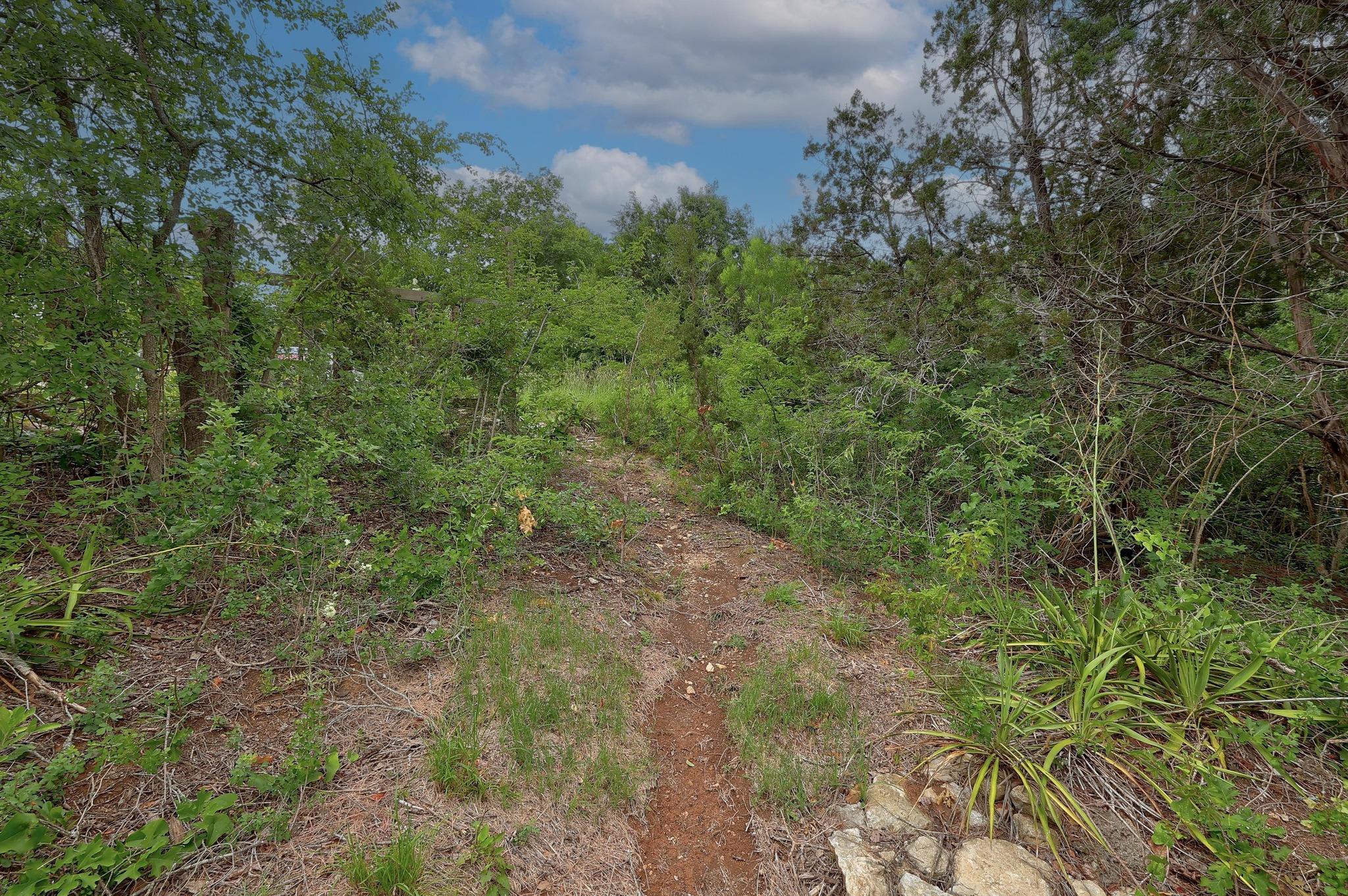 1614 San Gabriel Ranch Rd, Liberty Hill, TX 78642