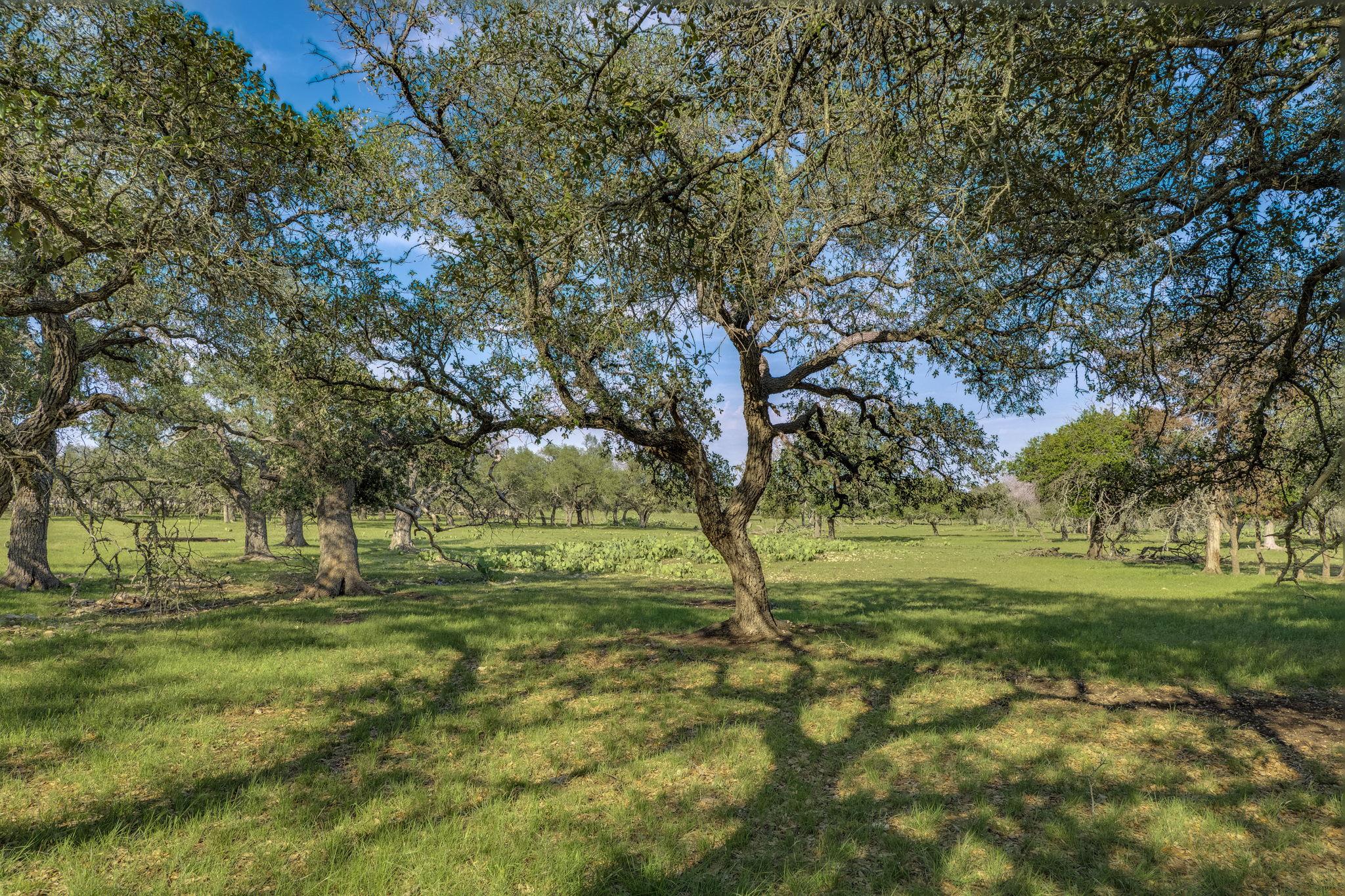 1185 County Road 258, Bertram, TX 78605